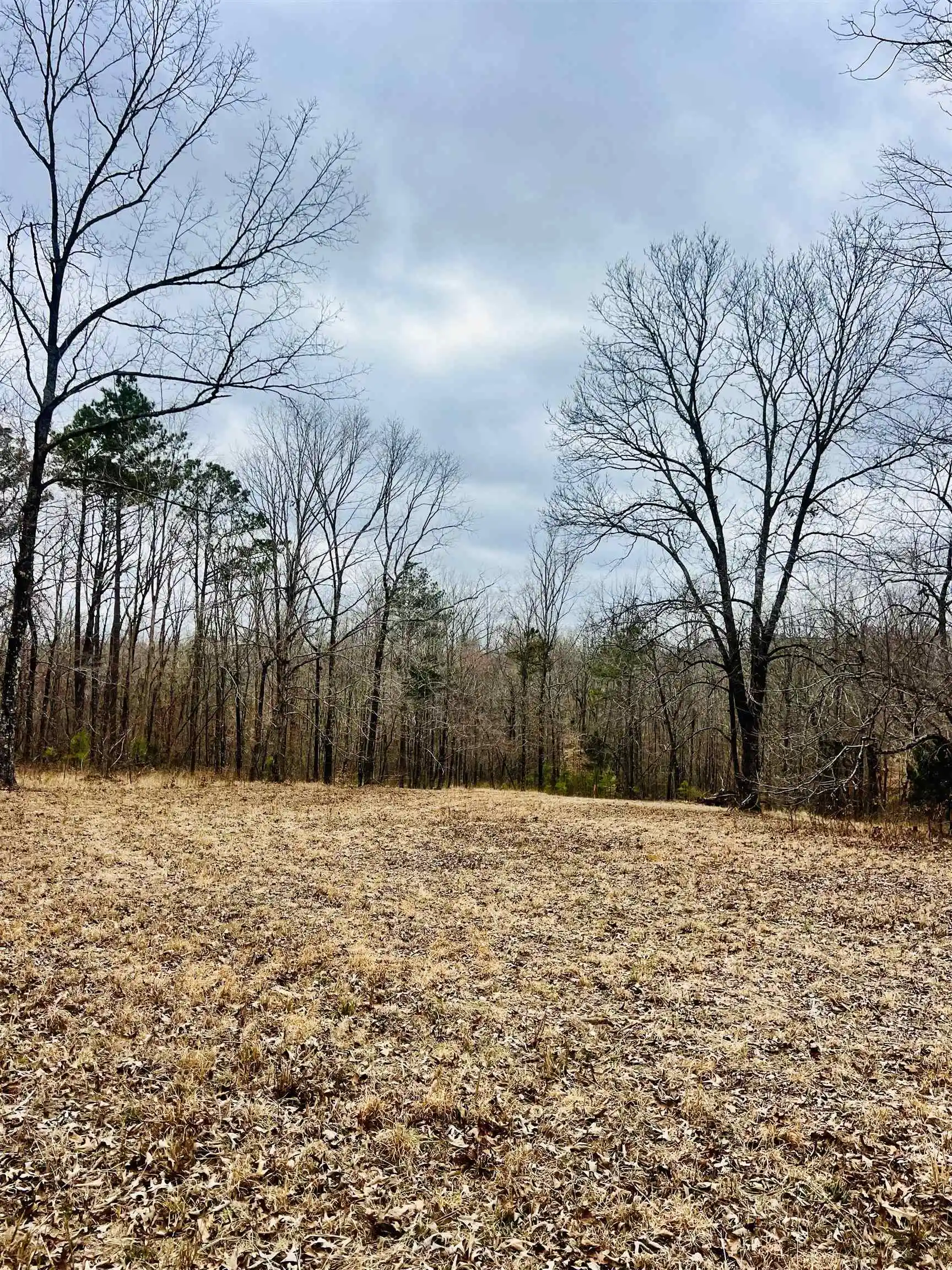 21st image of 3990 Monk House Rd, Somerville, TN 38068 | MLS# 10215738