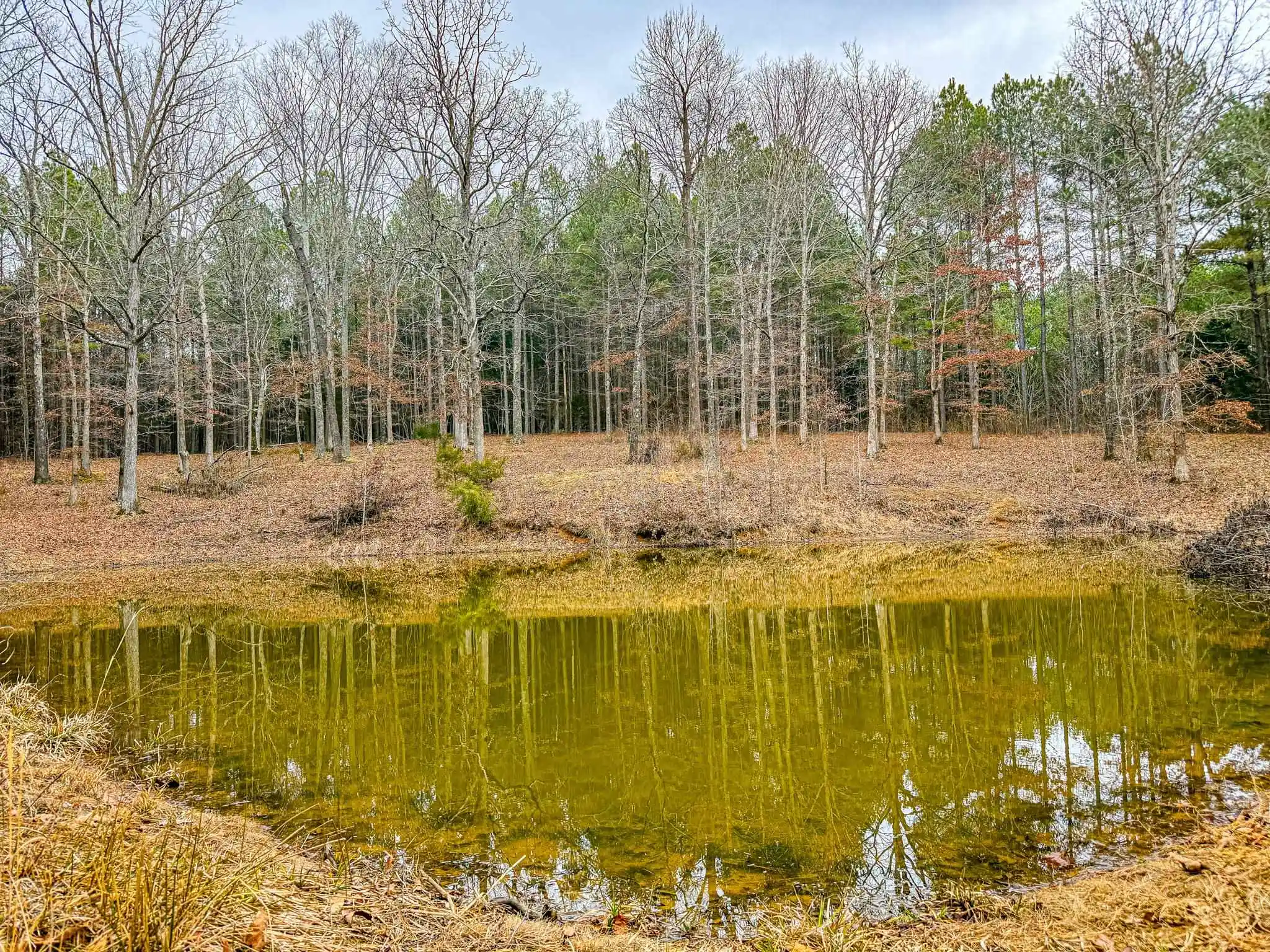 Homes for sale in Puryear, TN | 0 Jones Mill Crossland Rd, Puryear, TN 38251 | MLS# 10215840