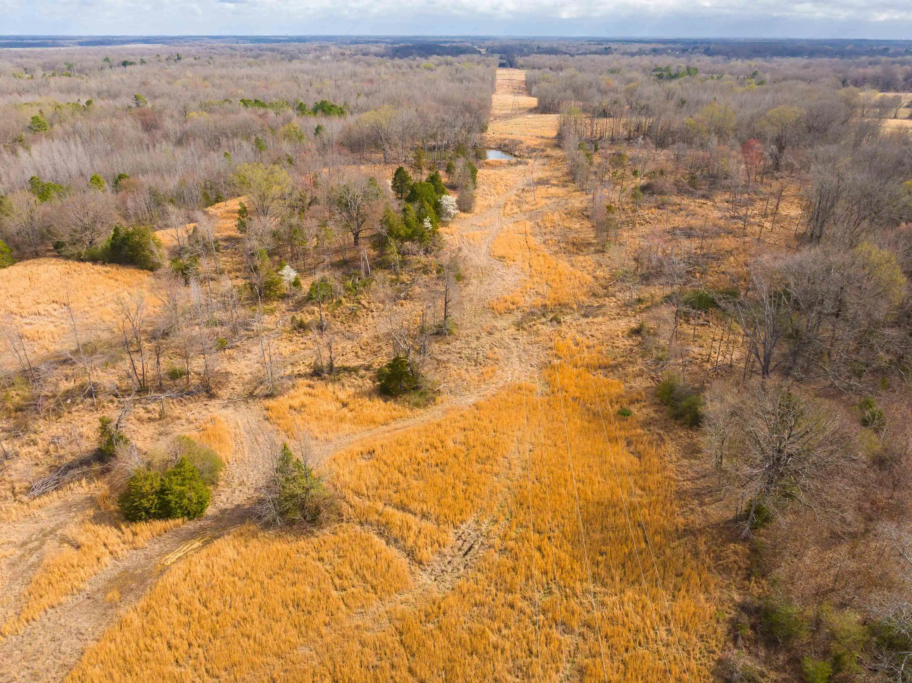 4th image of 0 Ivy Dr, Oakland, TN 38060 | MLS# 10216428