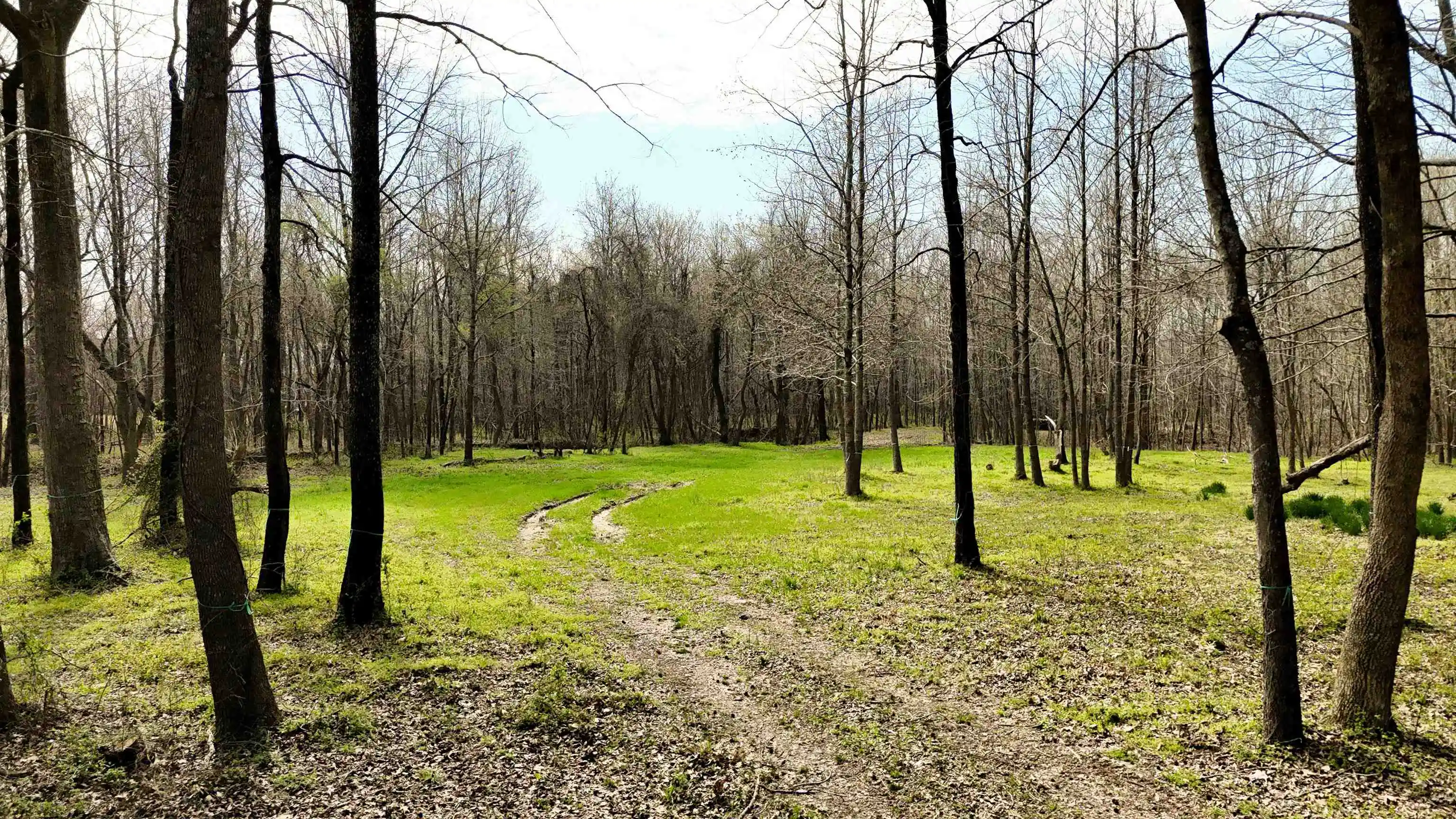 Photo 4 of Land for sale at 0 Payne Rd, Oakland, TN 38060 | MLS# 10217319 | Listing updated on 2026-03-21