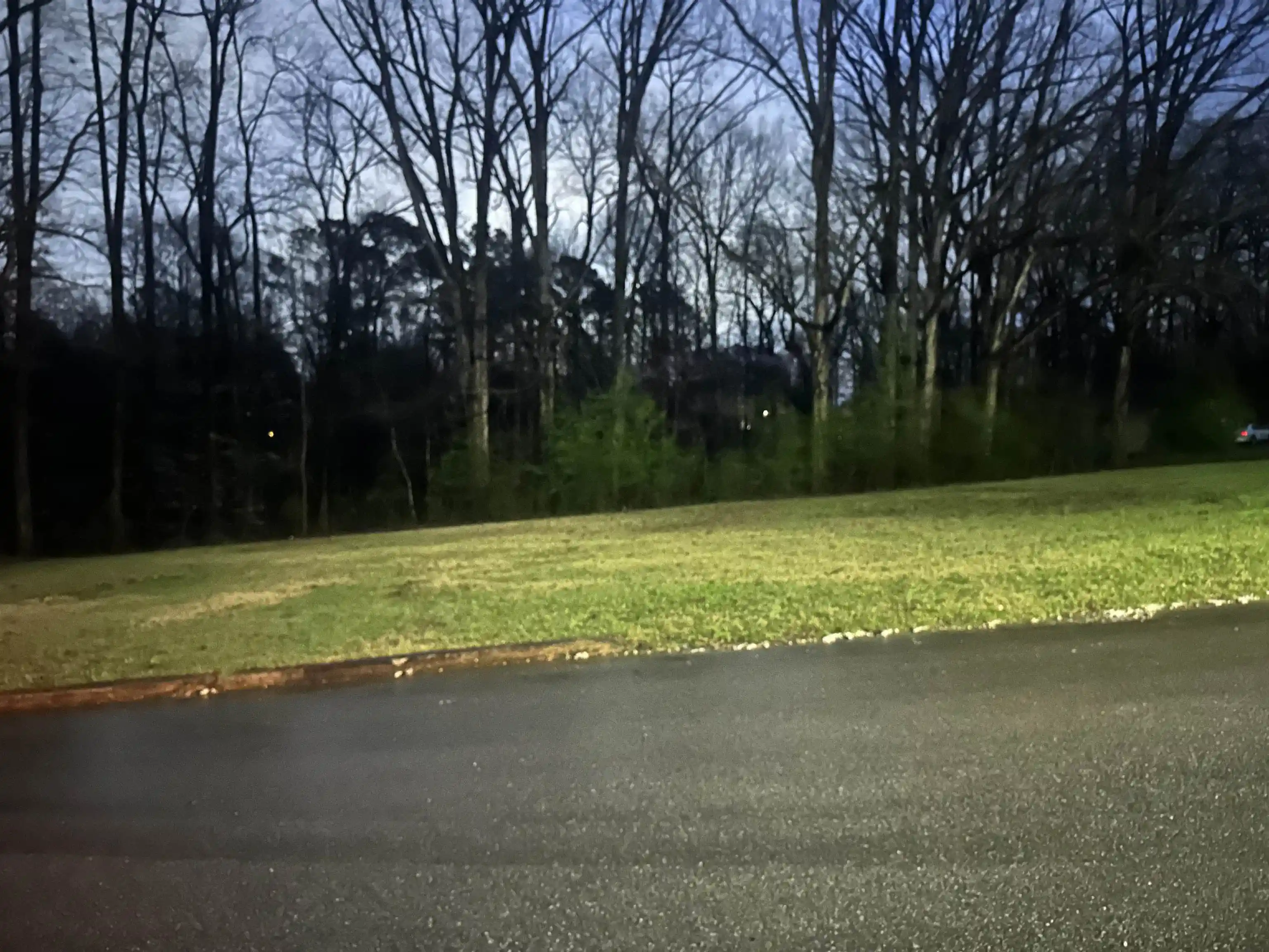 Homes for sale in Bolivar, TN | 0 Shelby Ln, Bolivar, TN 38008 | MLS# 10217474