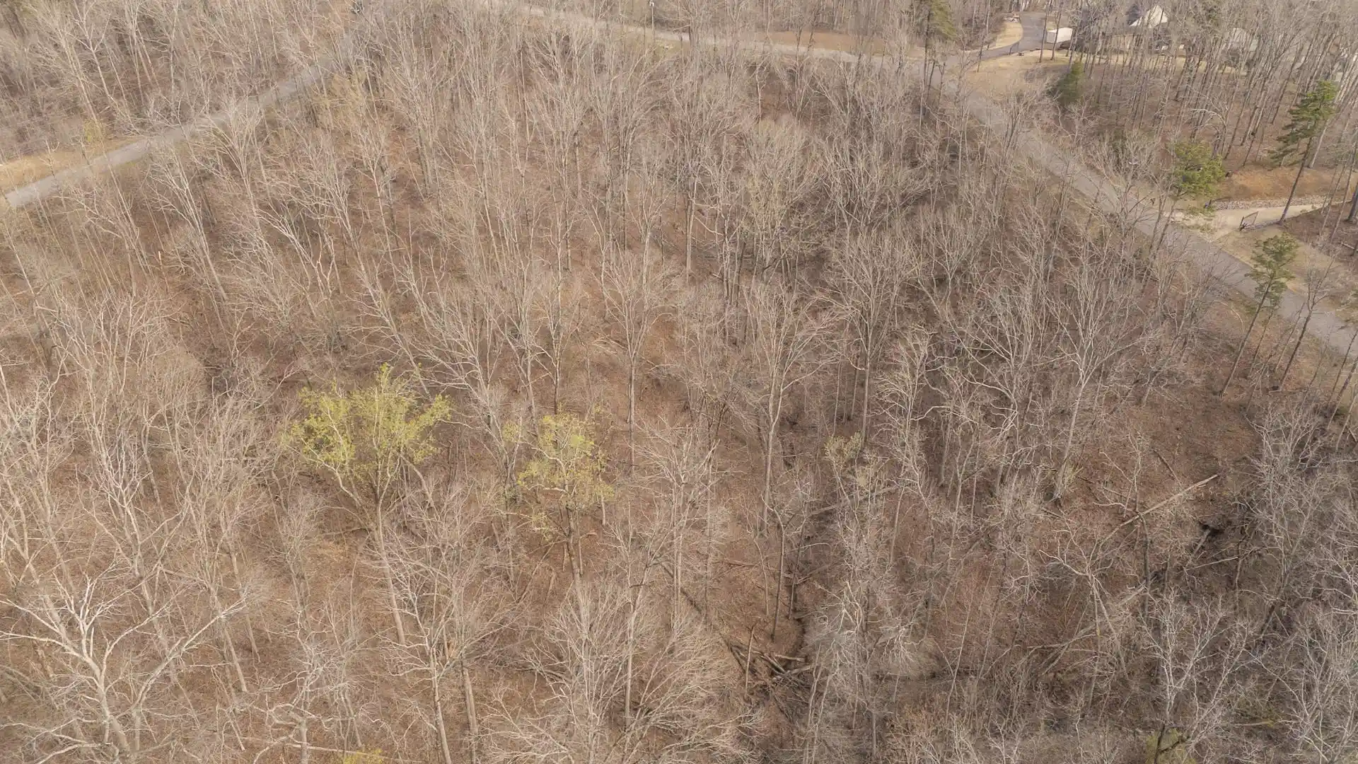 4th image of 0 Quarry Hollow Pt, Savannah, TN 38372 | MLS# 10217508