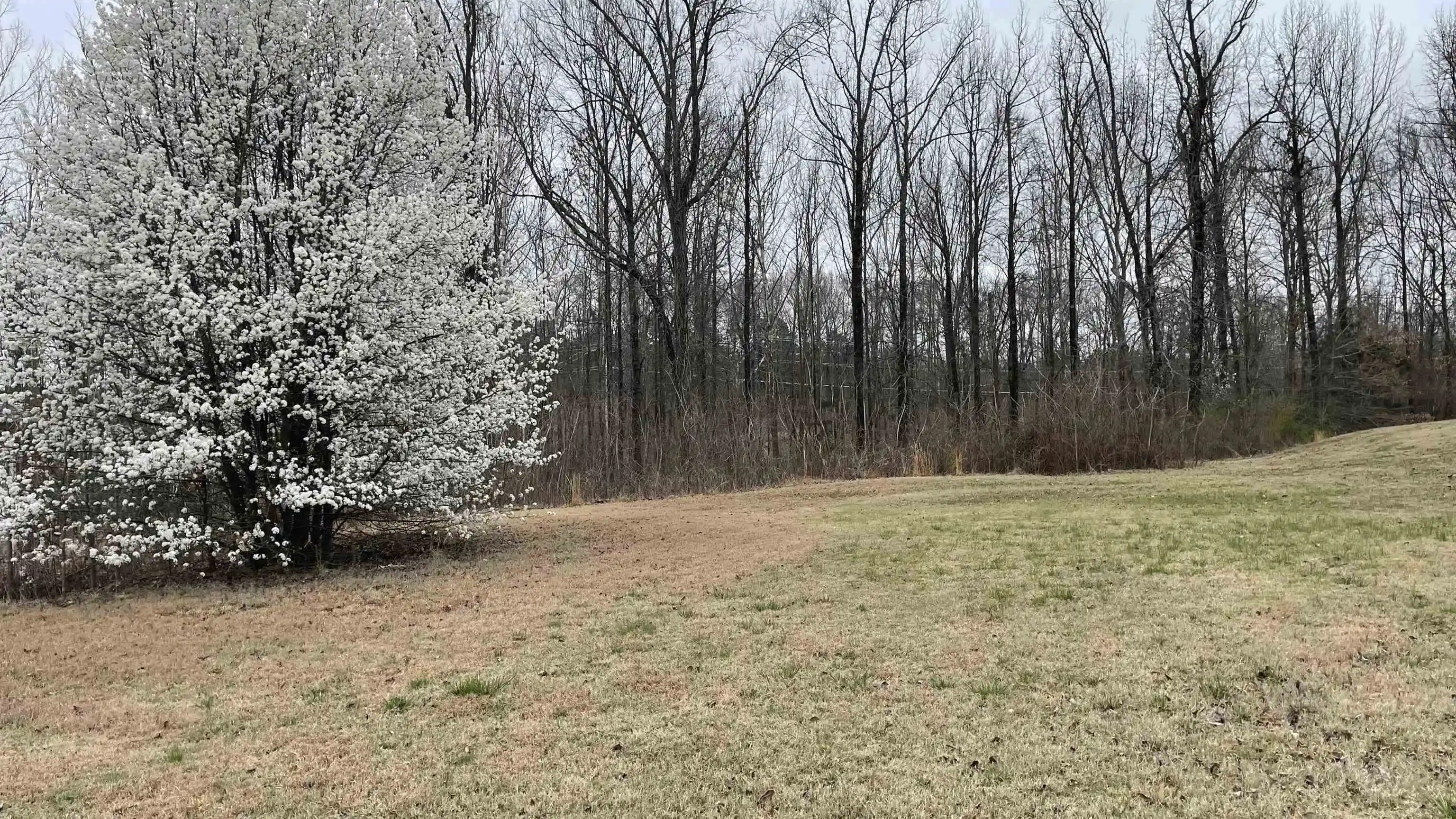 2nd image of 305 Nicolet St, Memphis, TN 38109 | MLS# 10217702
