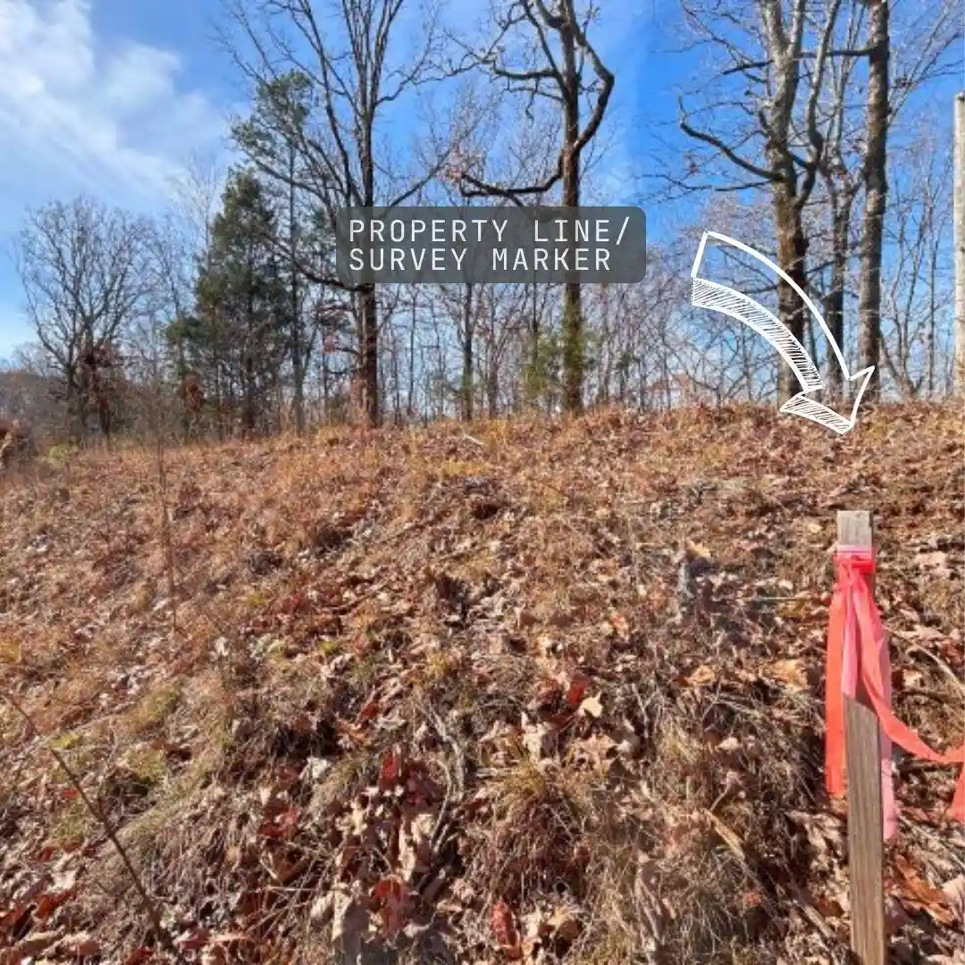 Homes for sale in Saulsbury, TN | 55 Lakewood Dr #CWL55, Saulsbury, TN 38067 | MLS# 10217708