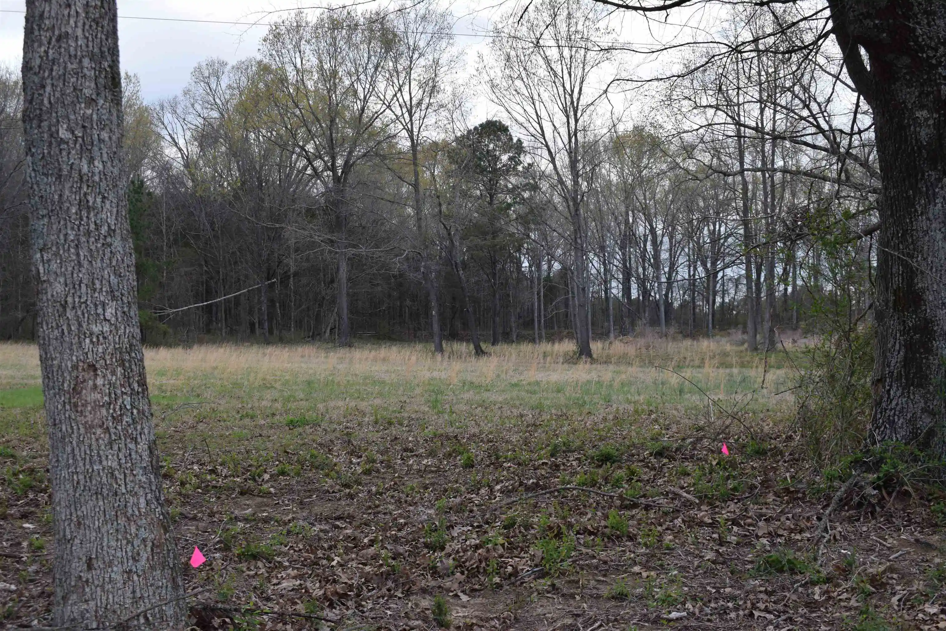 Photo 3 of Land for sale at 0 Highway 193 Rd, Oakland, TN 38060 | MLS# 10217963 | Listing updated on 2026-03-30