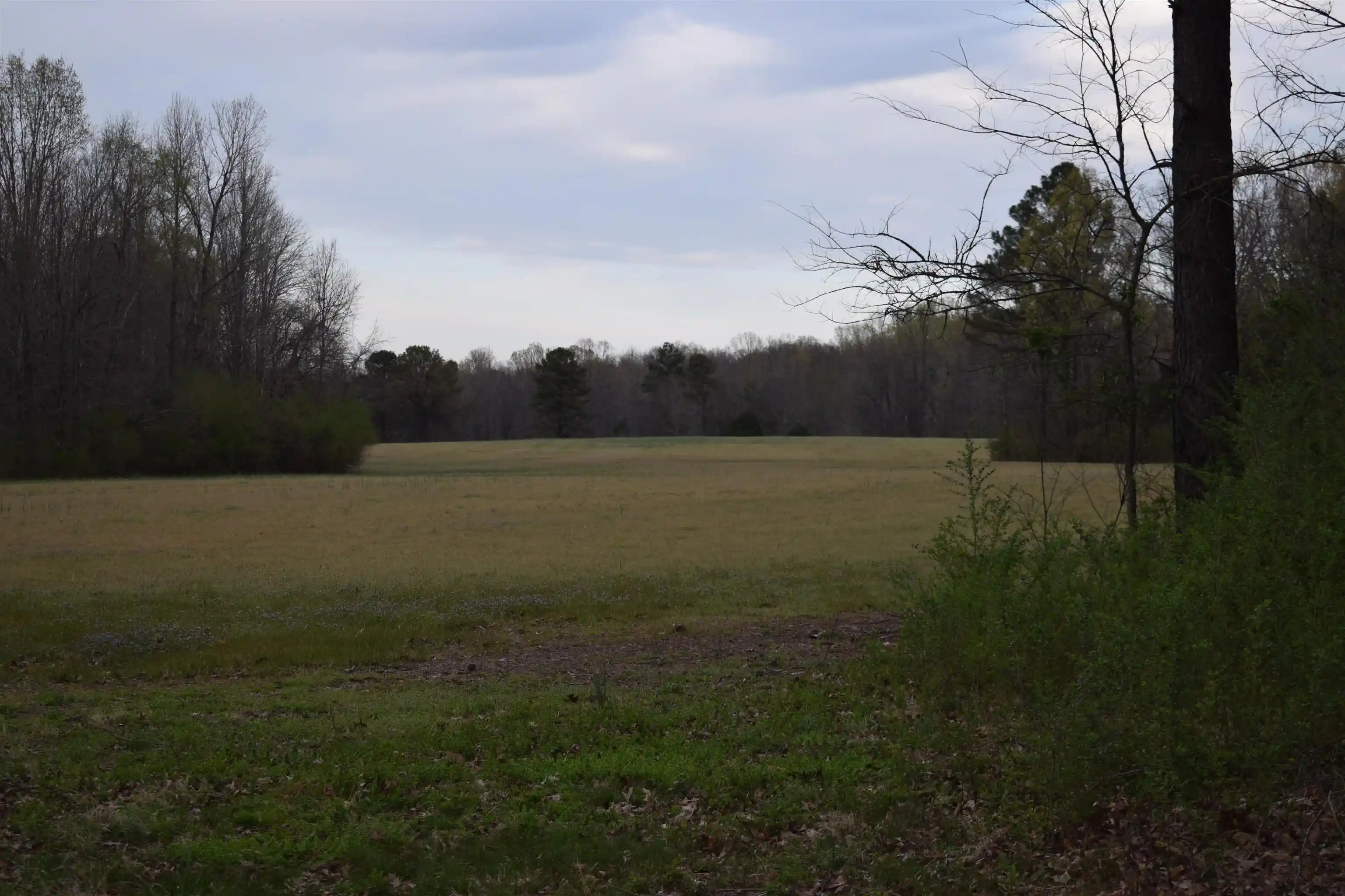 Photo 3 of Land for sale at 0 Highway 193 Rd, Oakland, TN 38060 | MLS# 10217963 | Listing updated on 2026-03-30