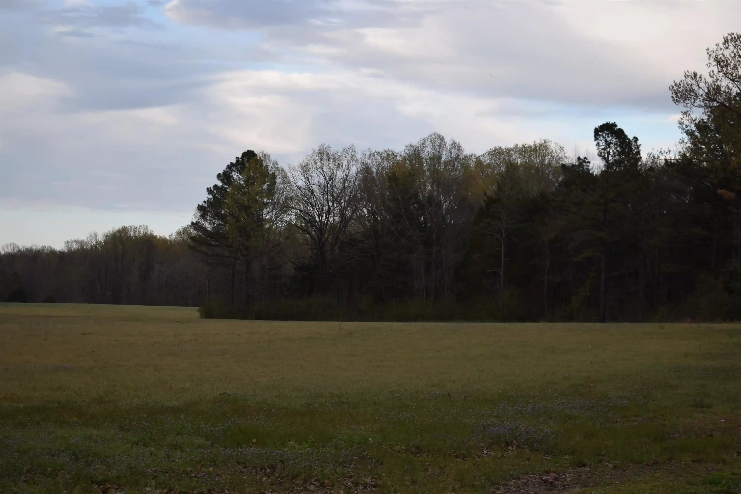 Photo 4 of Land for sale at 0 Highway 193 Rd, Oakland, TN 38060 | MLS# 10217963 | Listing updated on 2026-03-30