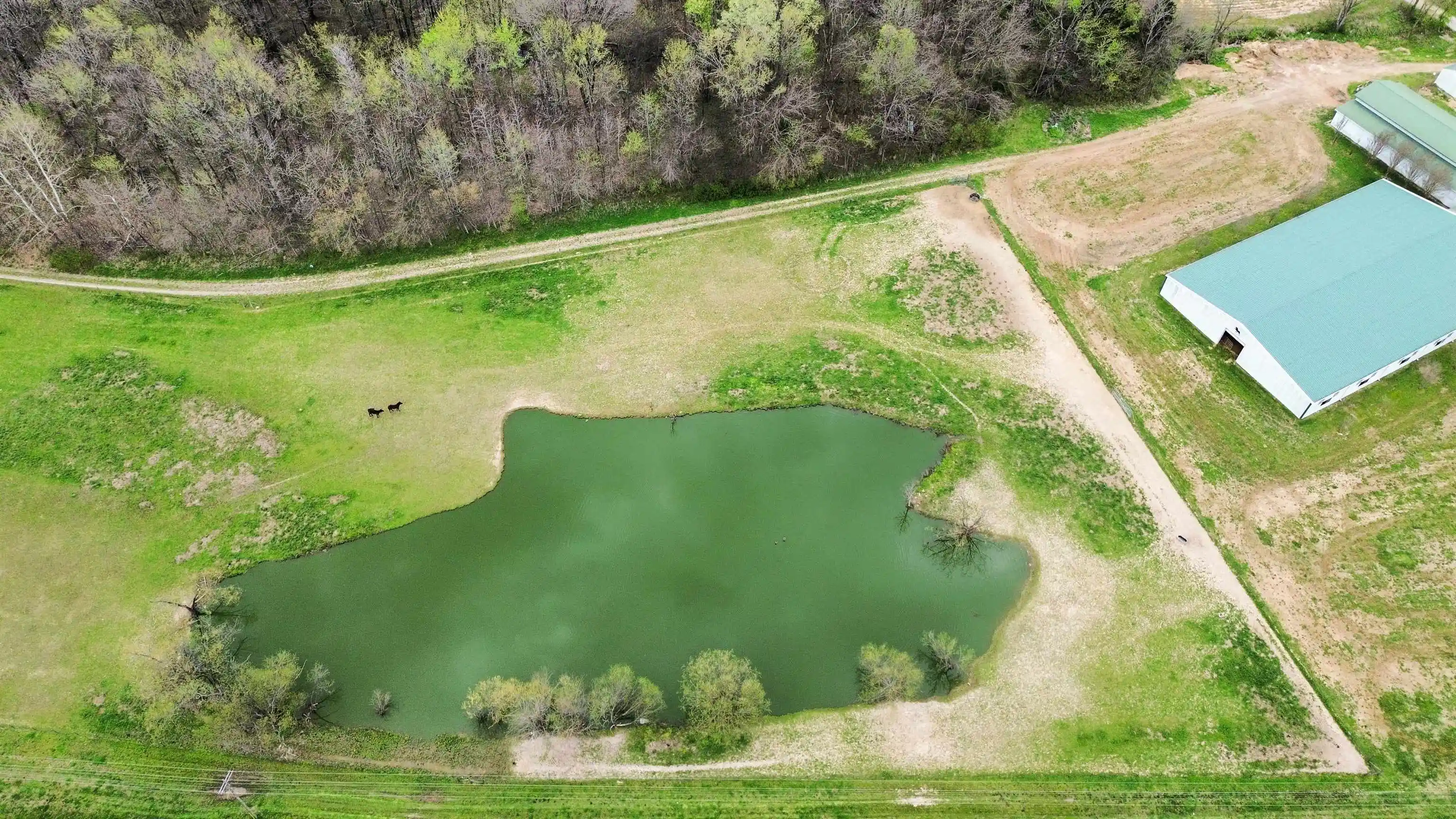 Homes for sale in Hickory Valley, TN | 7650 Hwy 18 Hwy, Hickory Valley, TN 38042 | MLS# 10217988