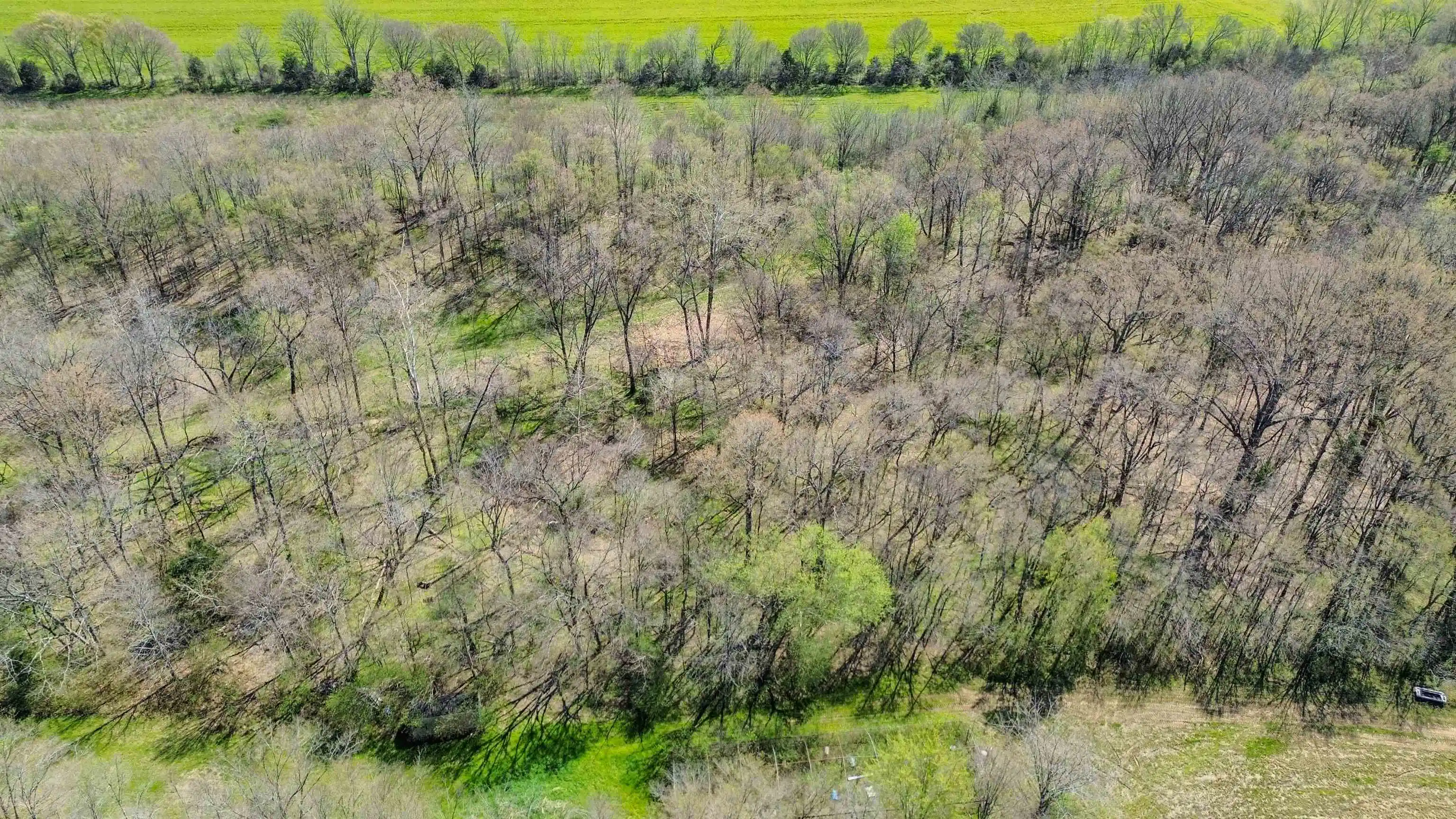 Photo 3 of Land for sale at 3315 Highway 195, Somerville, TN 38068 | MLS# 10218232 | Listing updated on 2026-08-26