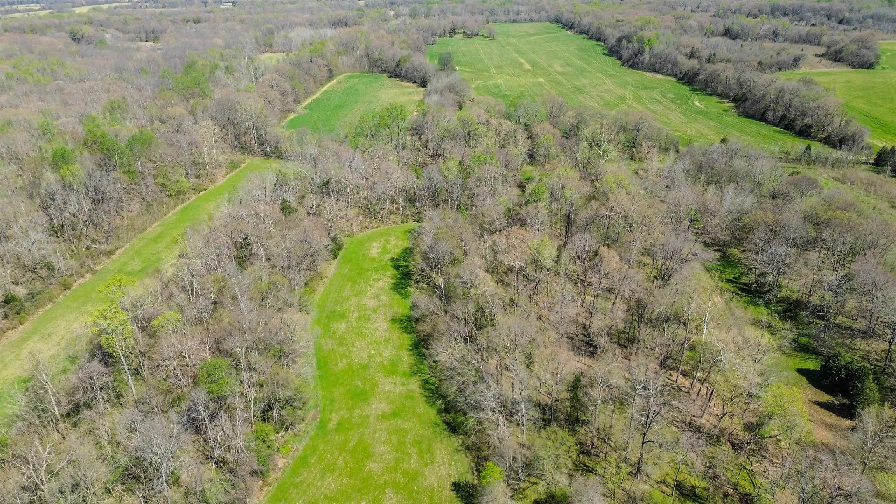 Photo 4 of Land for sale at 3315 Highway 195, Somerville, TN 38068 | MLS# 10218232 | Listing updated on 2026-08-26
