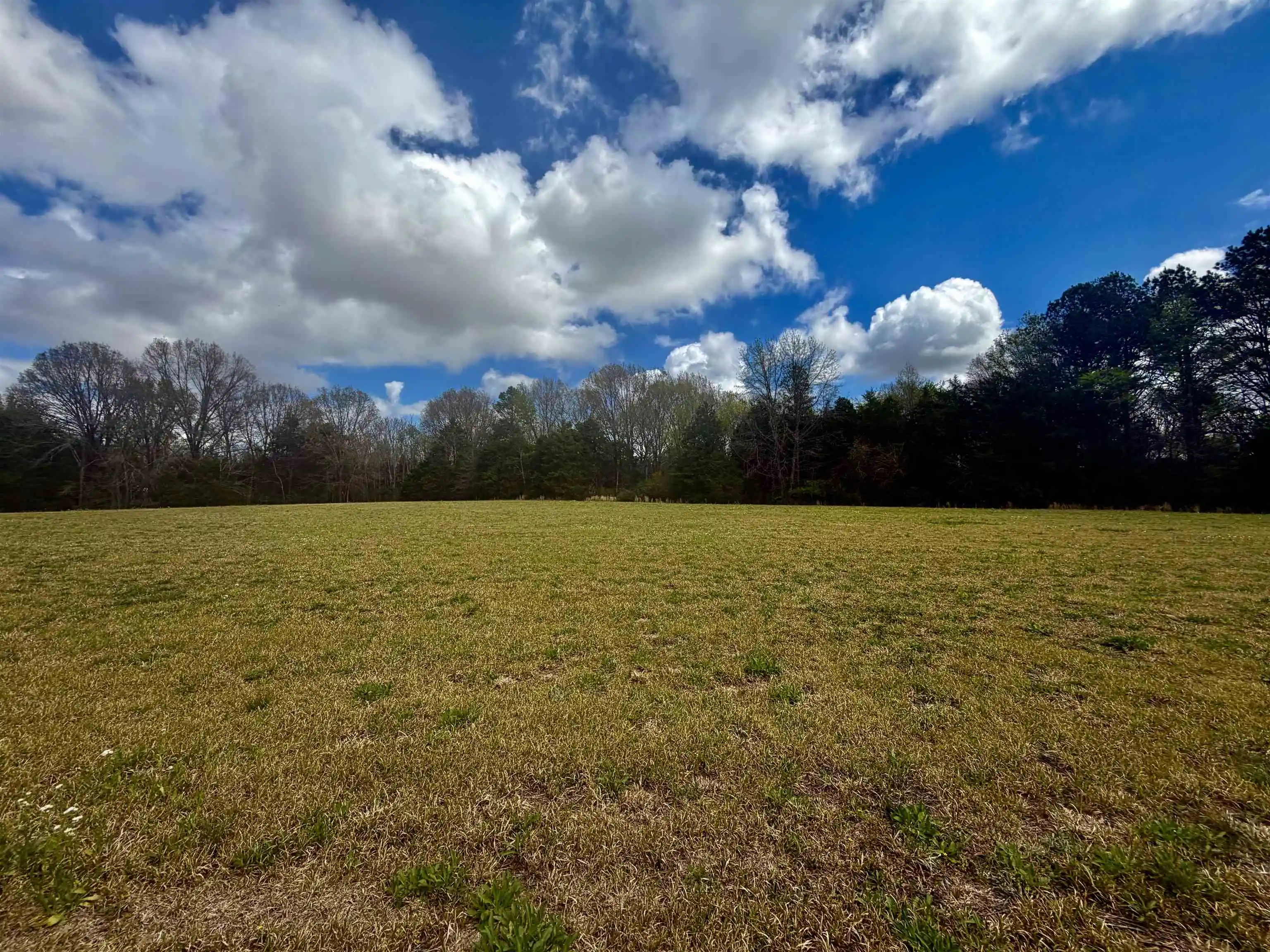 Homes for sale in Somerville, TN | 819 Ac Feathers Chapel Dr, Somerville, TN 38068 | MLS# 10218293