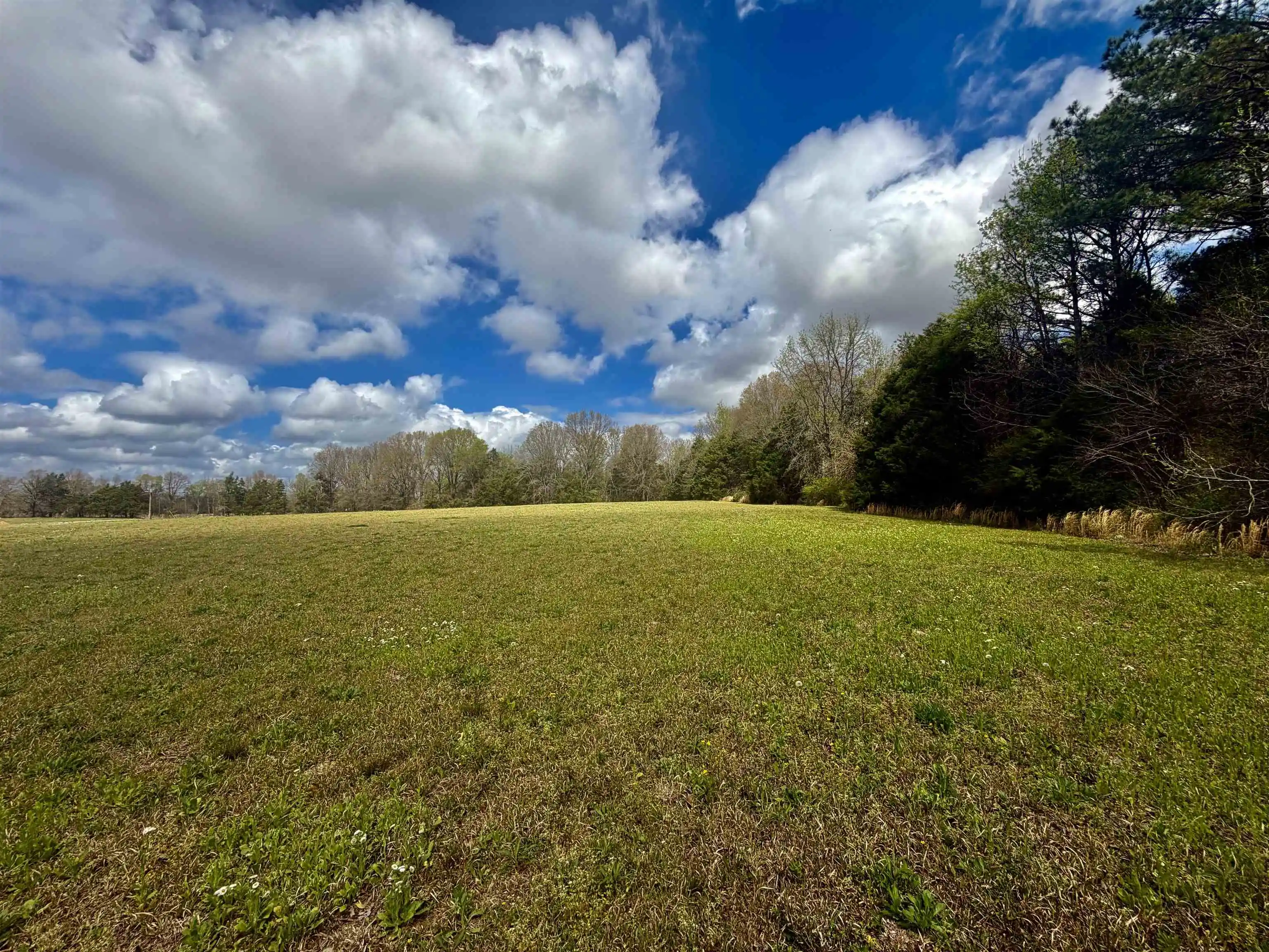 Homes for sale in Somerville, TN | 819 Ac Feathers Chapel Dr, Somerville, TN 38068 | MLS# 10218293