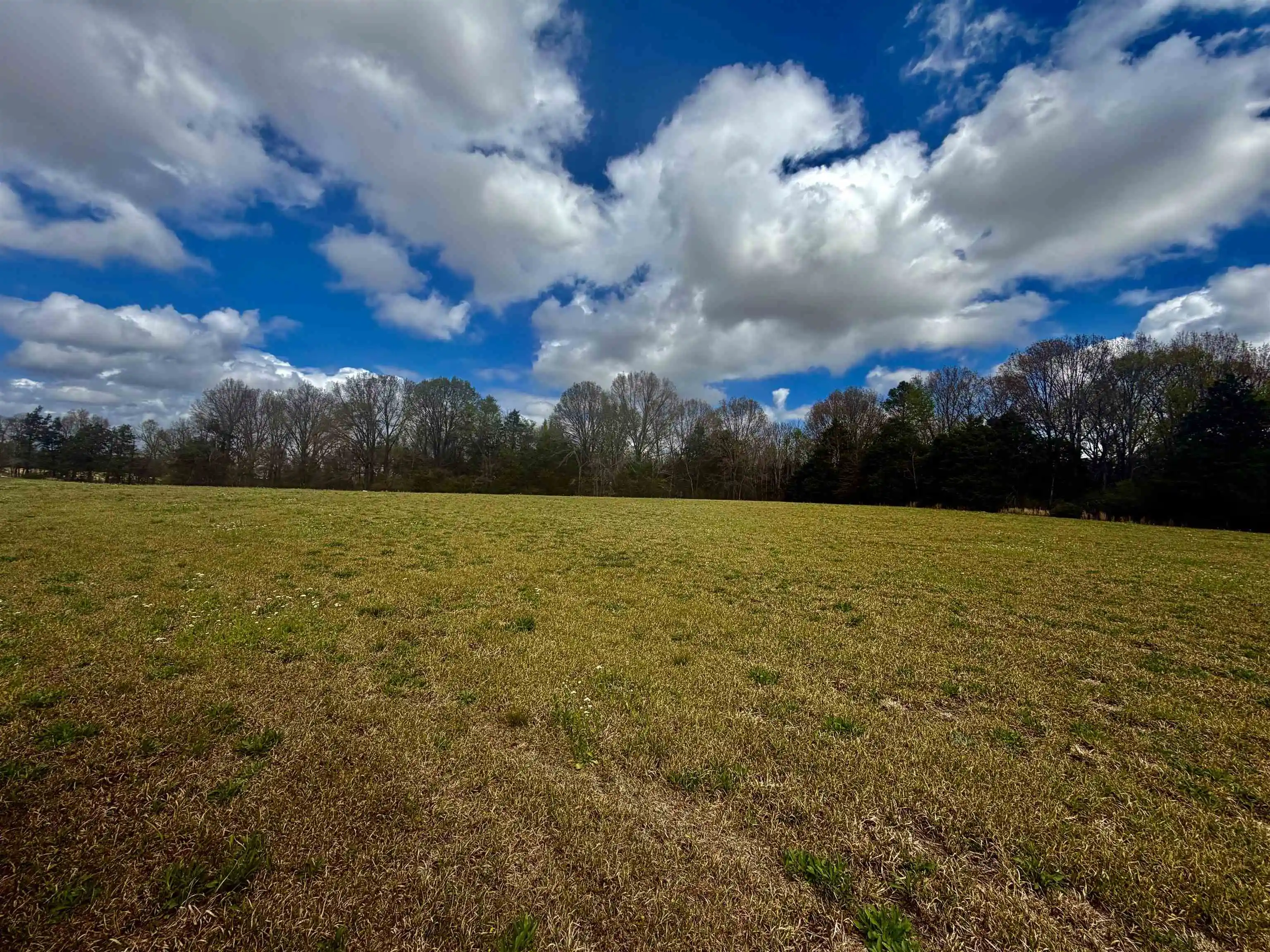 Homes for sale in Somerville, TN | 819 Ac Feathers Chapel Dr, Somerville, TN 38068 | MLS# 10218293