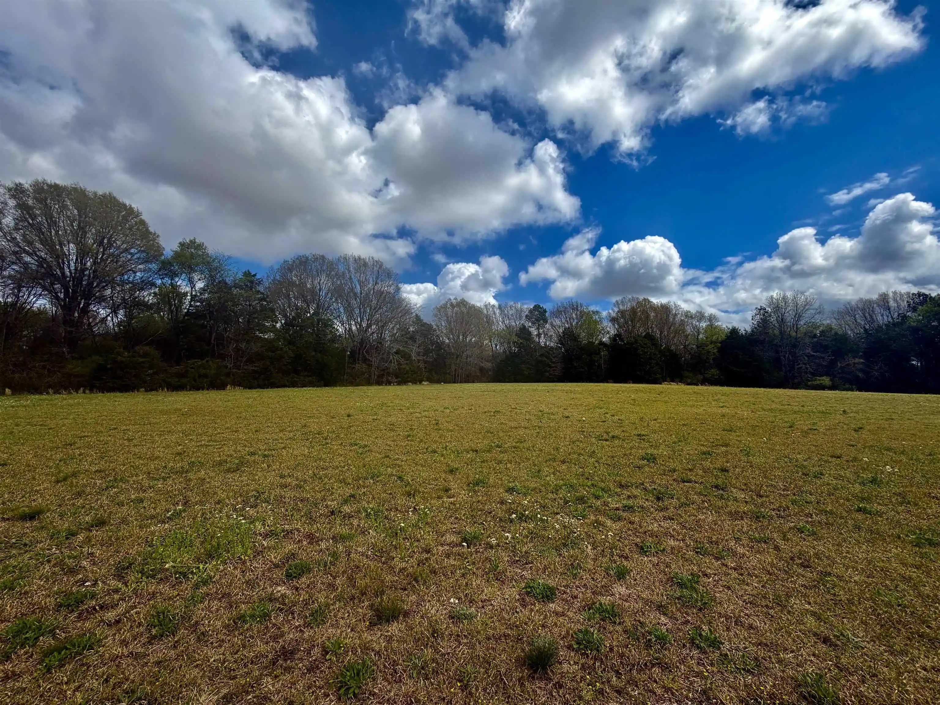 Homes for sale in Somerville, TN | 819 Ac Feathers Chapel Dr, Somerville, TN 38068 | MLS# 10218293
