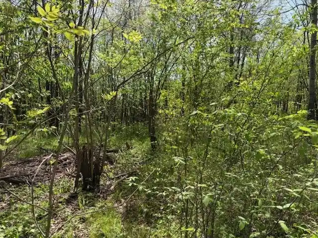 2nd image of 105 & 106 Towboat Ln, Adamsville, TN 38310 | MLS# 10218572