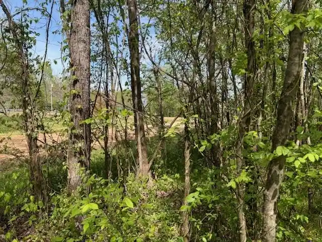 4th image of 105 & 106 Towboat Ln, Adamsville, TN 38310 | MLS# 10218572