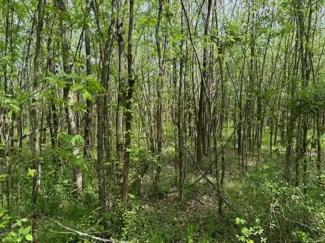 19th image of 105 & 106 Towboat Ln, Adamsville, TN 38310 | MLS# 10218572