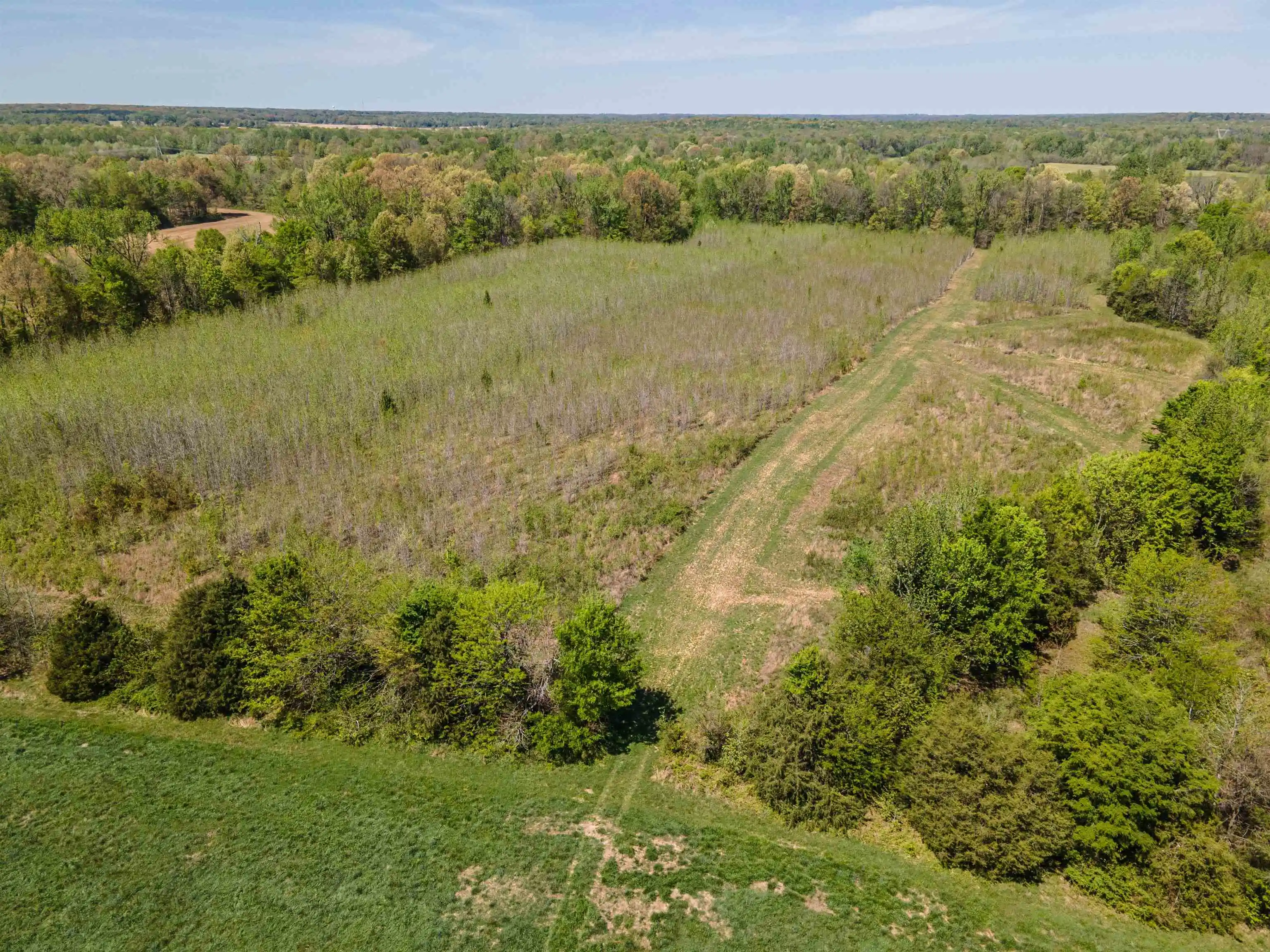 Homes for sale in Mason, TN | 830 Mcknight Loop, Mason, TN 38049 | MLS# 10218780