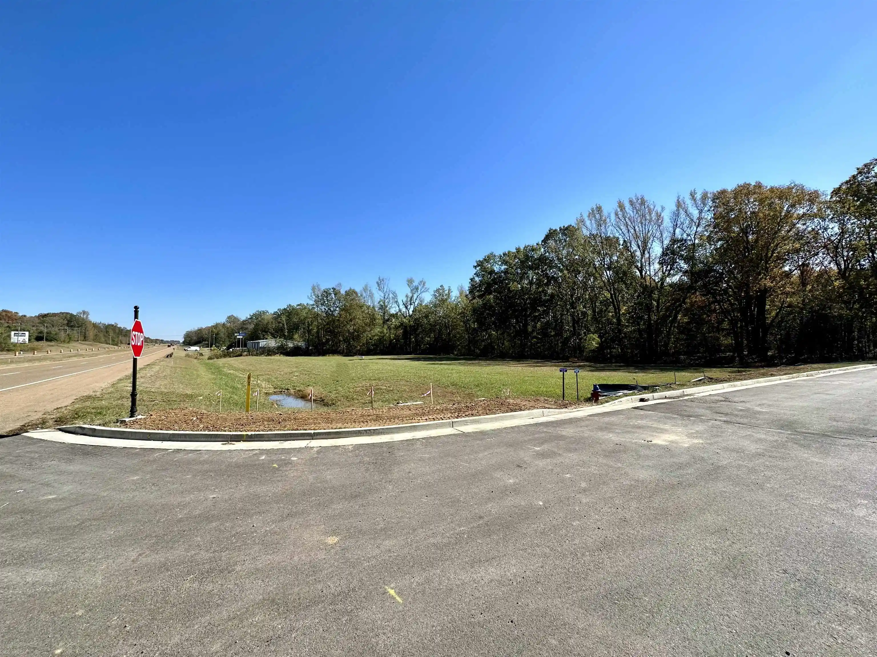 23rd image of 152 Acres Hwy 64 Hwy, Eads, TN 38028 | MLS# 10218783