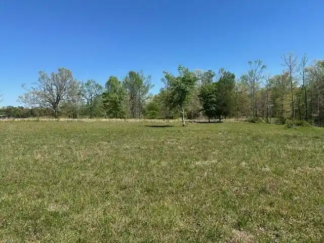 3rd image of 00 Pear Blossom Ln, Adamsville, TN 38310 | MLS# 10218887