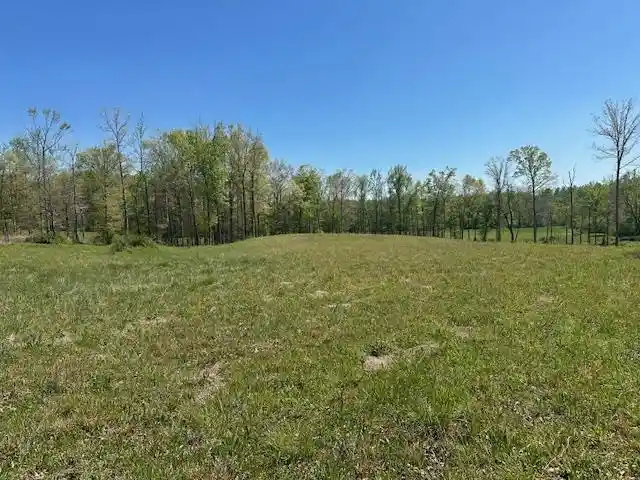 4th image of 00 Pear Blossom Ln, Adamsville, TN 38310 | MLS# 10218887