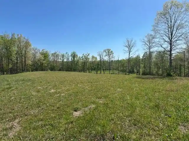 5th image of 00 Pear Blossom Ln, Adamsville, TN 38310 | MLS# 10218887