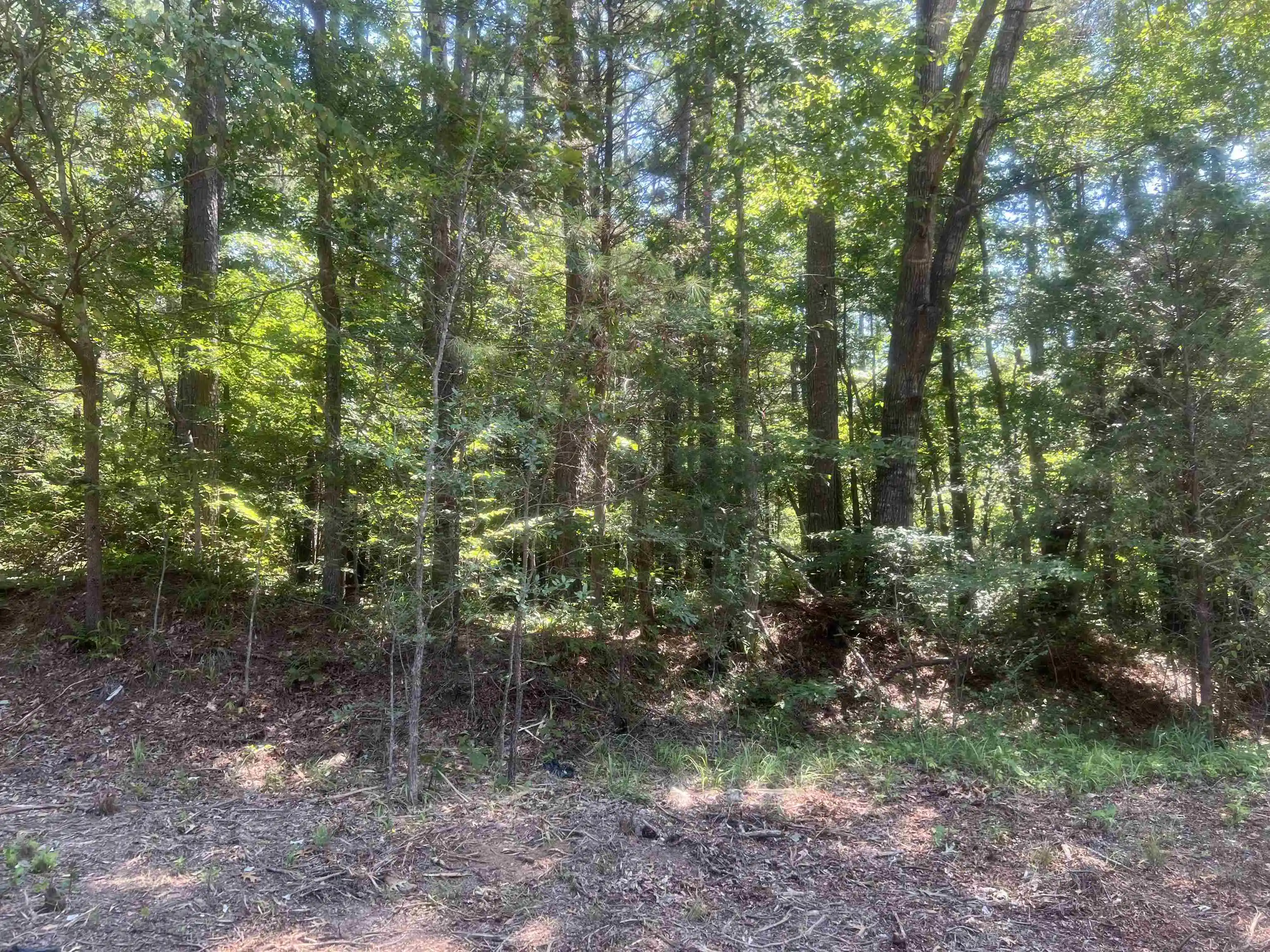 Homes for sale in Medon, TN | Big Springs Rd, Medon, TN 38356 | MLS# 10218950