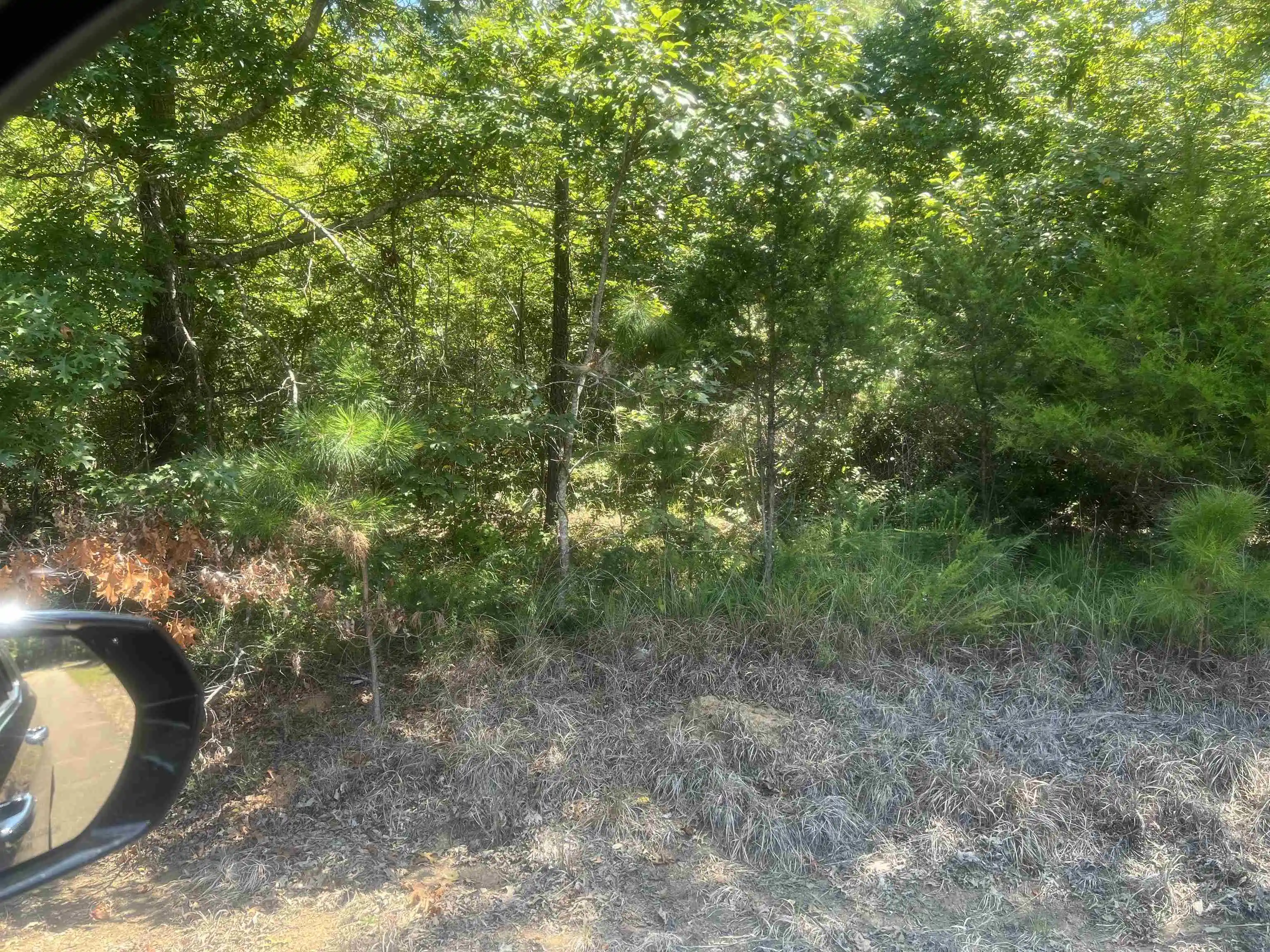 Homes for sale in Medon, TN | Big Springs Rd, Medon, TN 38356 | MLS# 10218950