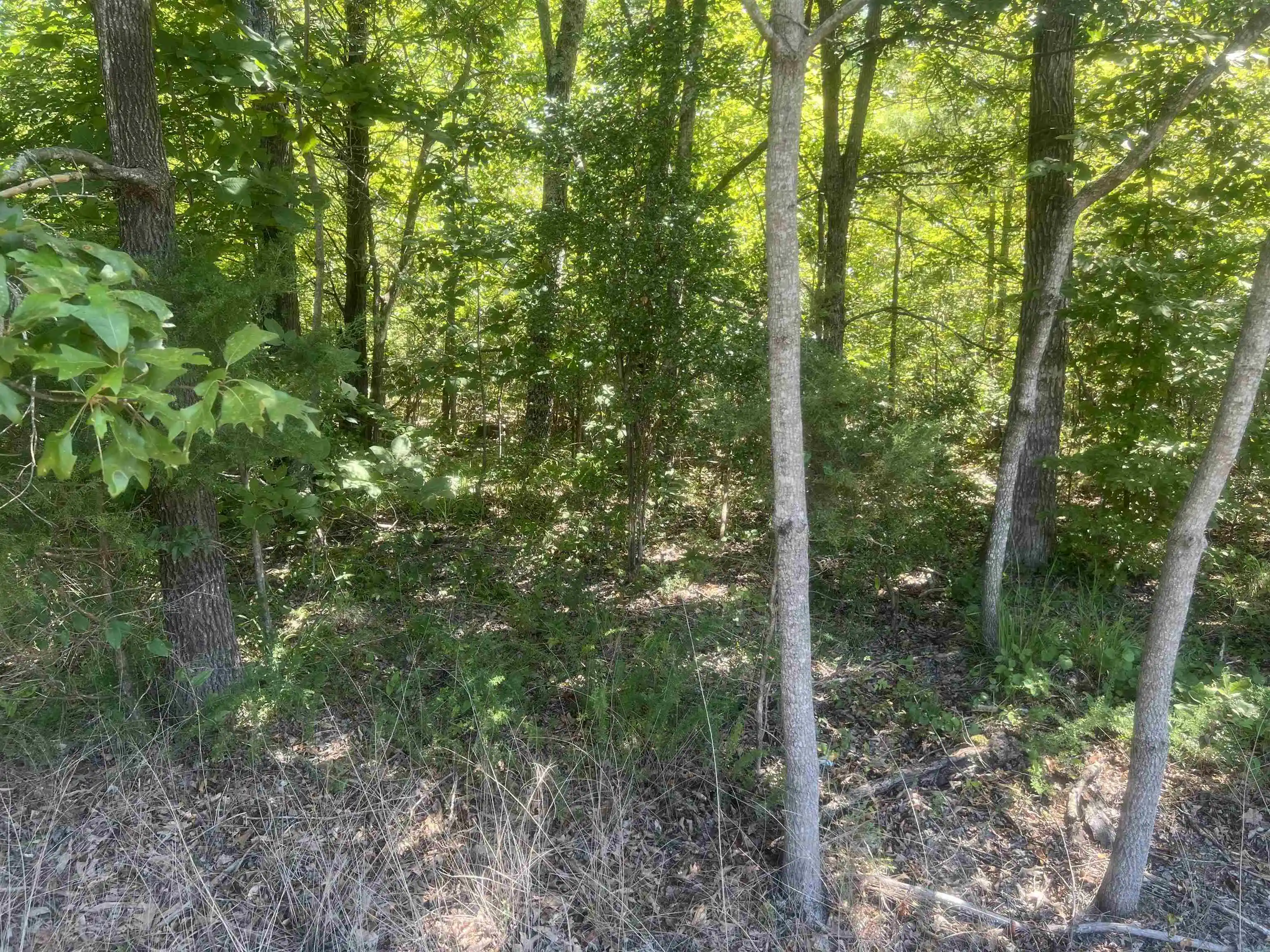 Homes for sale in Medon, TN | Big Springs Rd, Medon, TN 38356 | MLS# 10218950