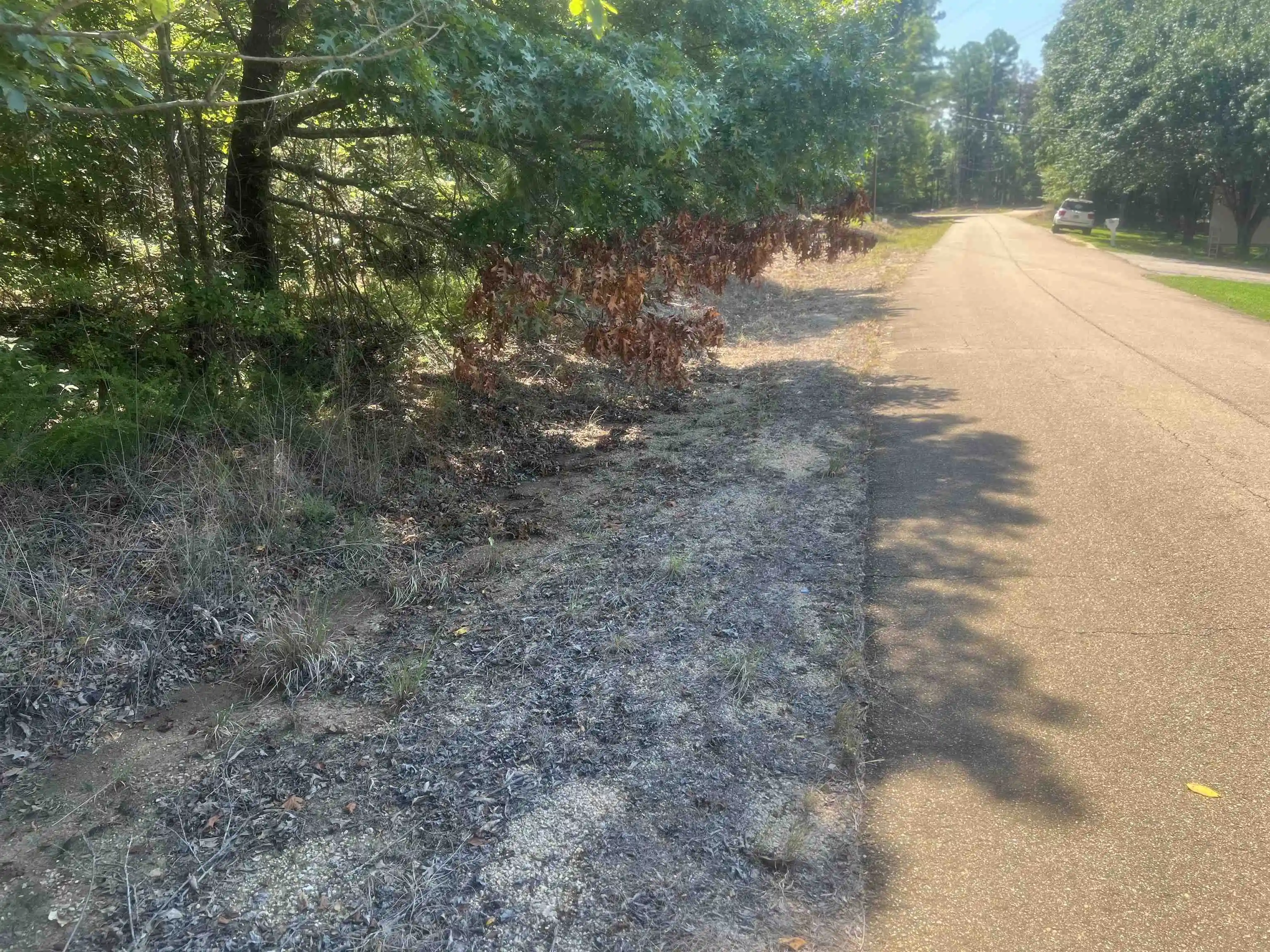 Homes for sale in Medon, TN | Big Springs Rd, Medon, TN 38356 | MLS# 10218950