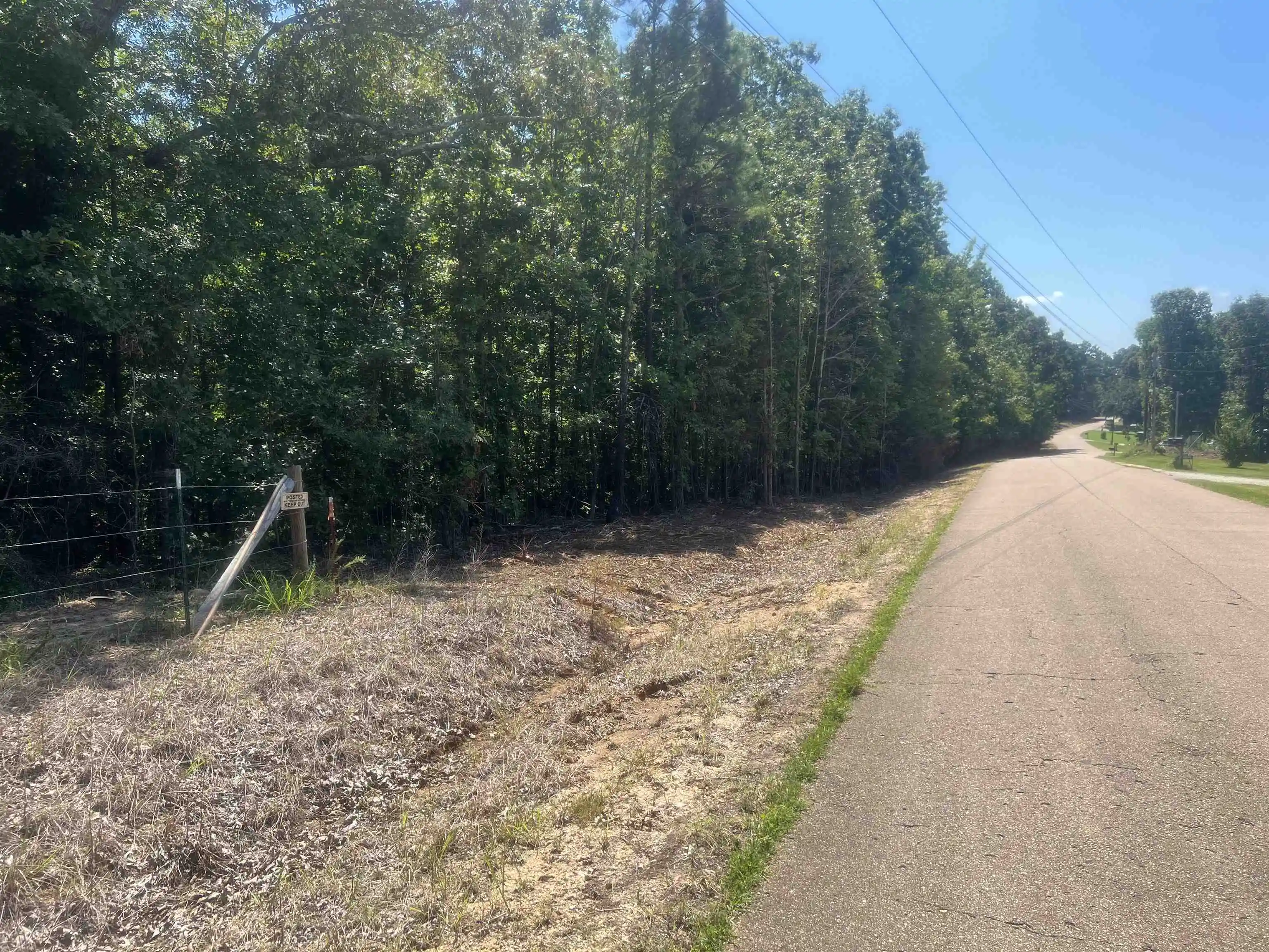Homes for sale in Medon, TN | Big Springs Rd, Medon, TN 38356 | MLS# 10218950