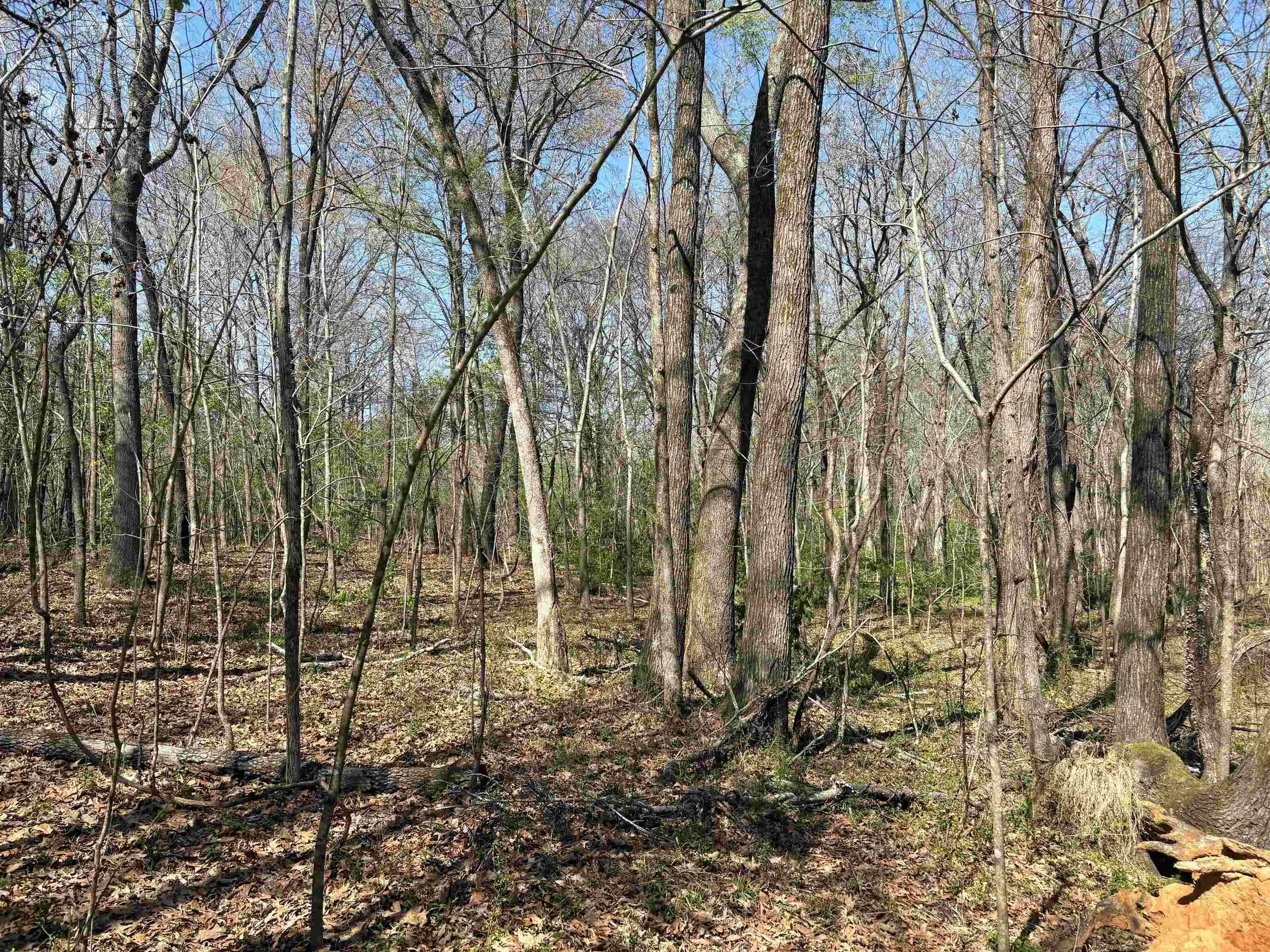 2nd image of 16055 Hwy 76 Hwy, Somerville, TN 38068 | MLS# 10218967