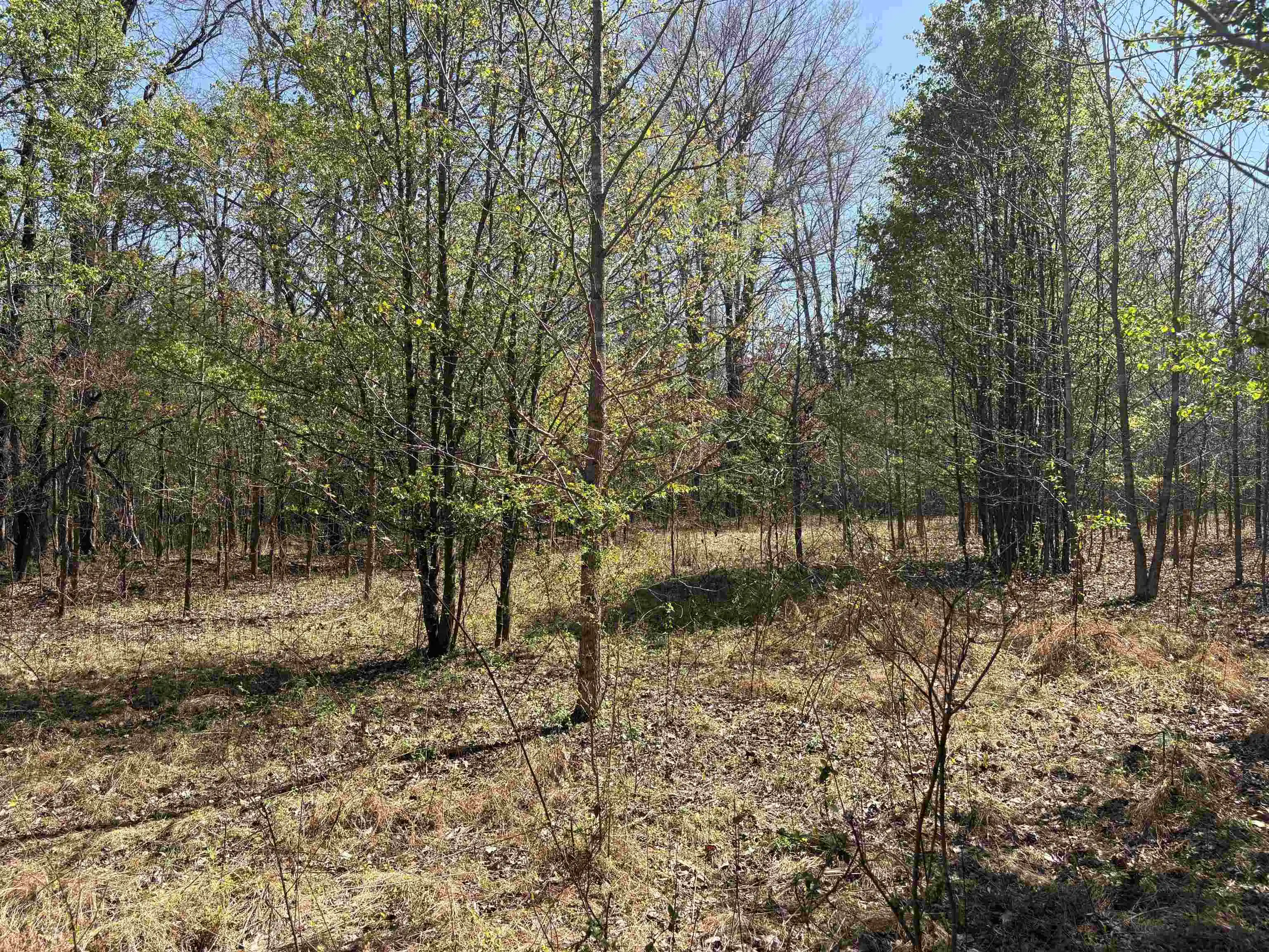 4th image of 16055 Hwy 76 Hwy, Somerville, TN 38068 | MLS# 10218967