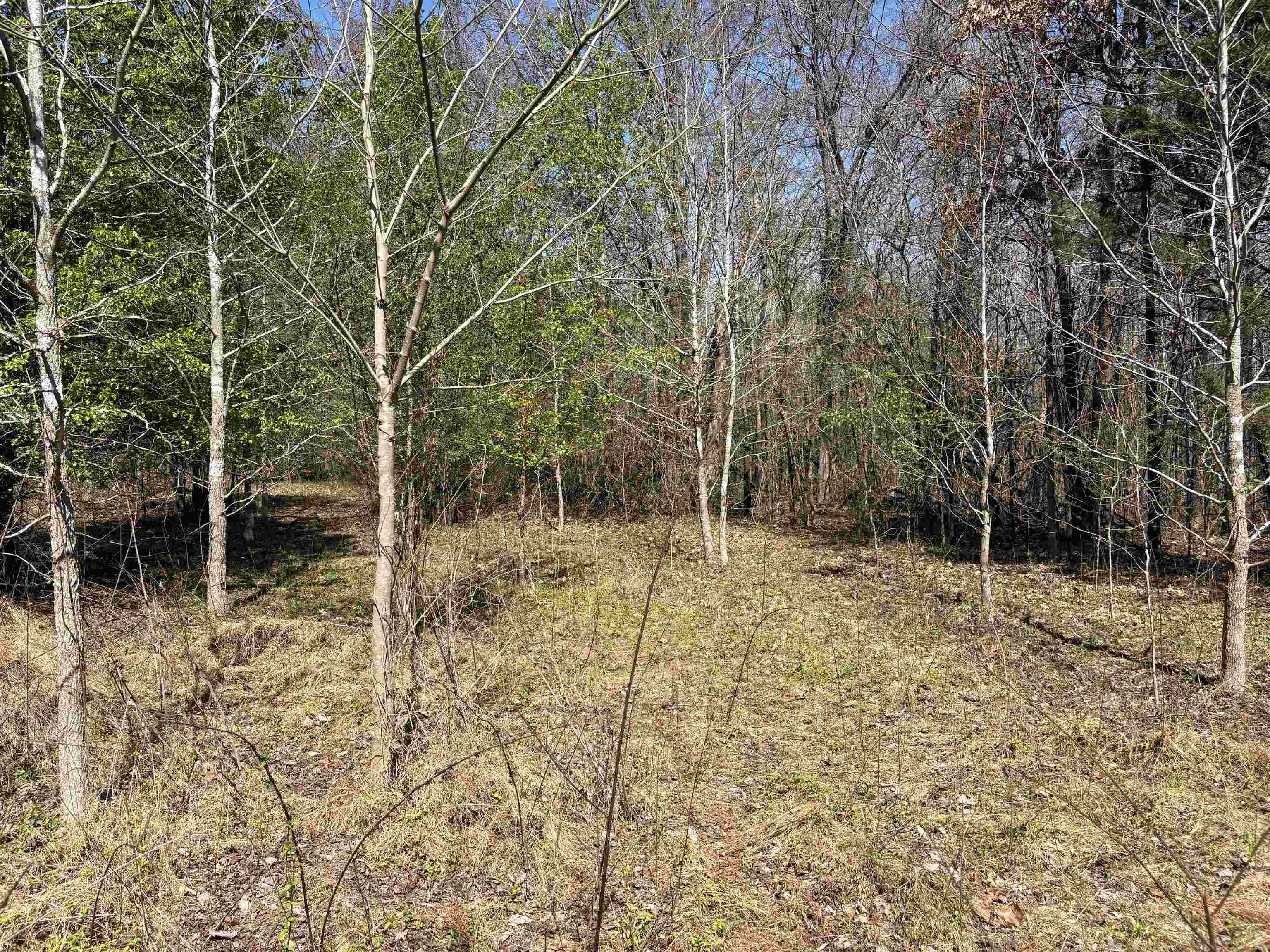 5th image of 16055 Hwy 76 Hwy, Somerville, TN 38068 | MLS# 10218967