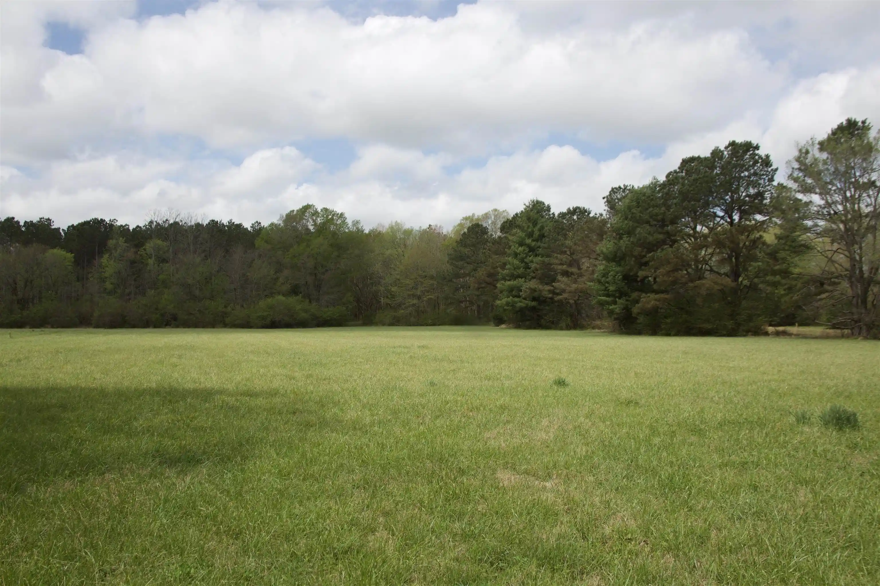 3rd image of 14360 La Grange Rd, La Grange, TN 38046 | MLS# 10219053