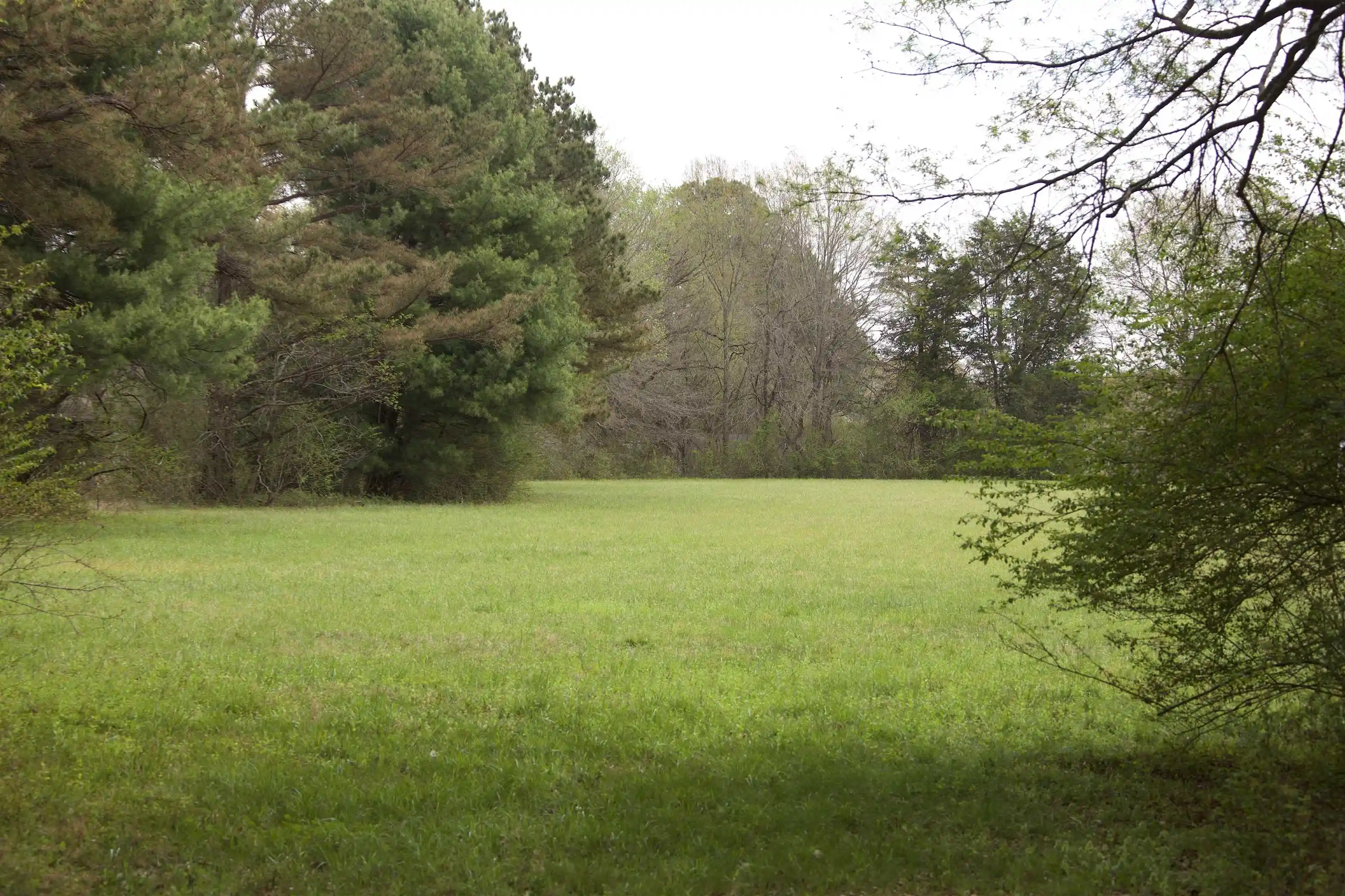 4th image of 14360 La Grange Rd, La Grange, TN 38046 | MLS# 10219053