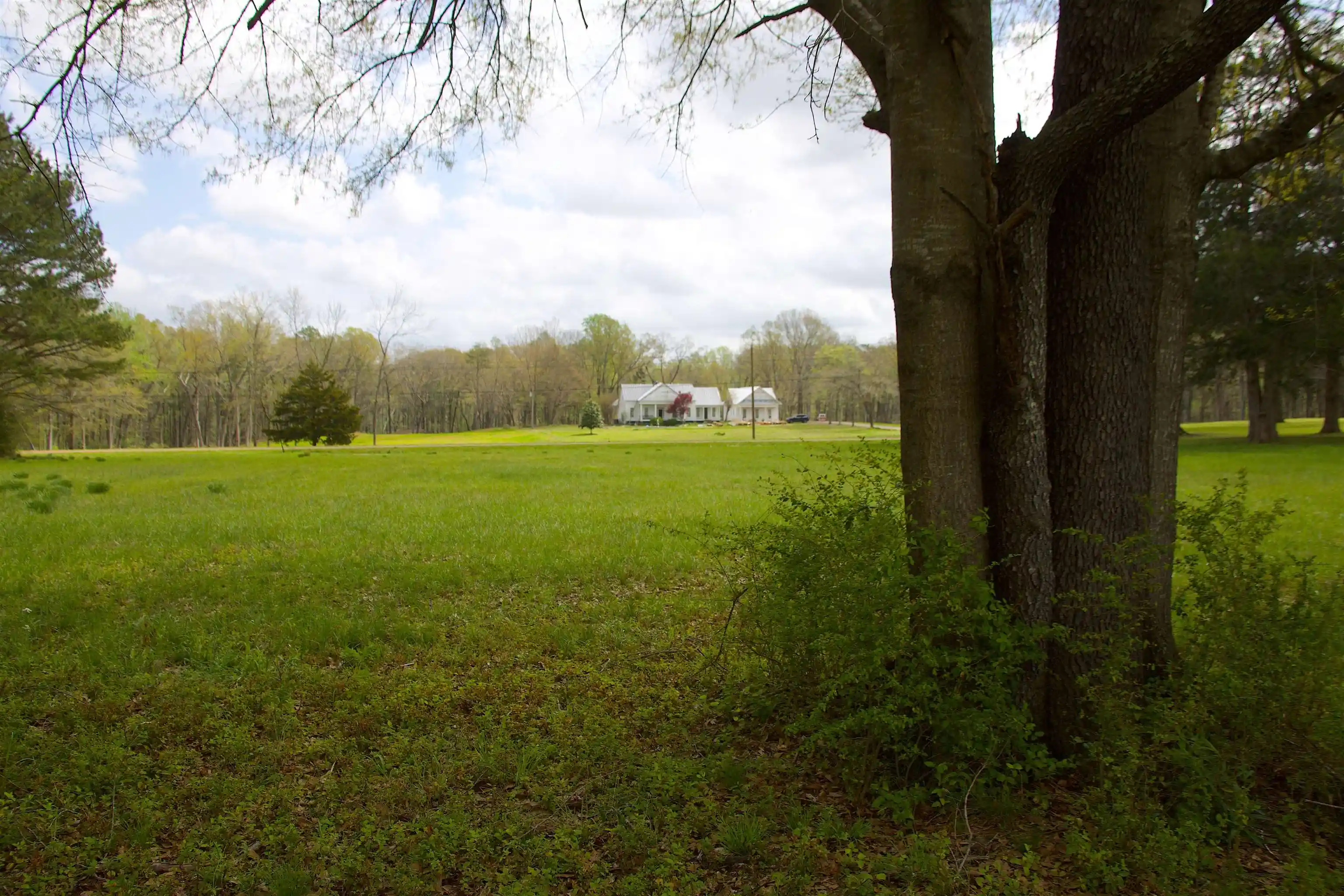 5th image of 14360 La Grange Rd, La Grange, TN 38046 | MLS# 10219053
