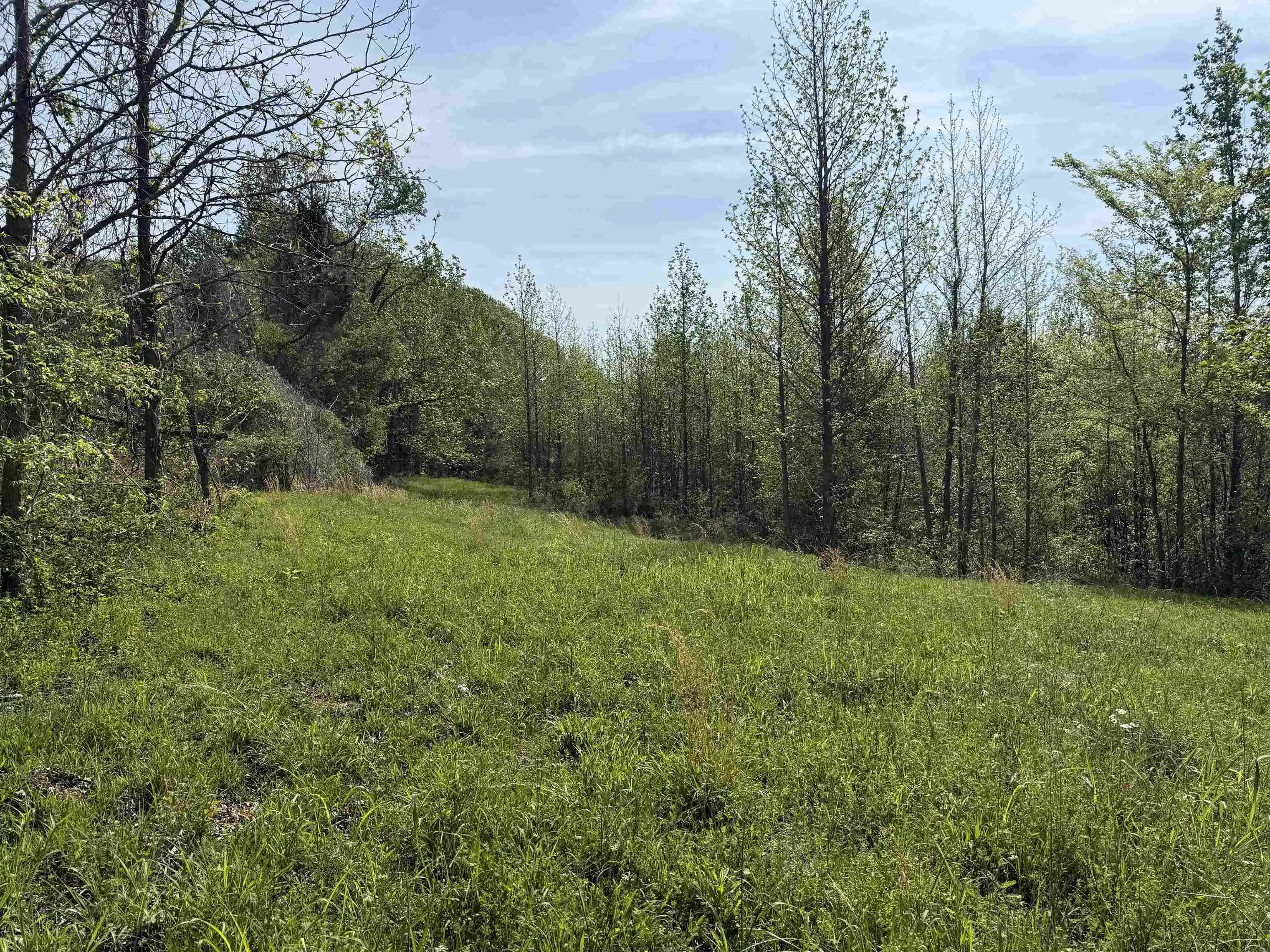 Homes for sale in Unincorporated, TN | 00 Needham Rd, Unincorporated, TN 38023 | MLS# 10219062