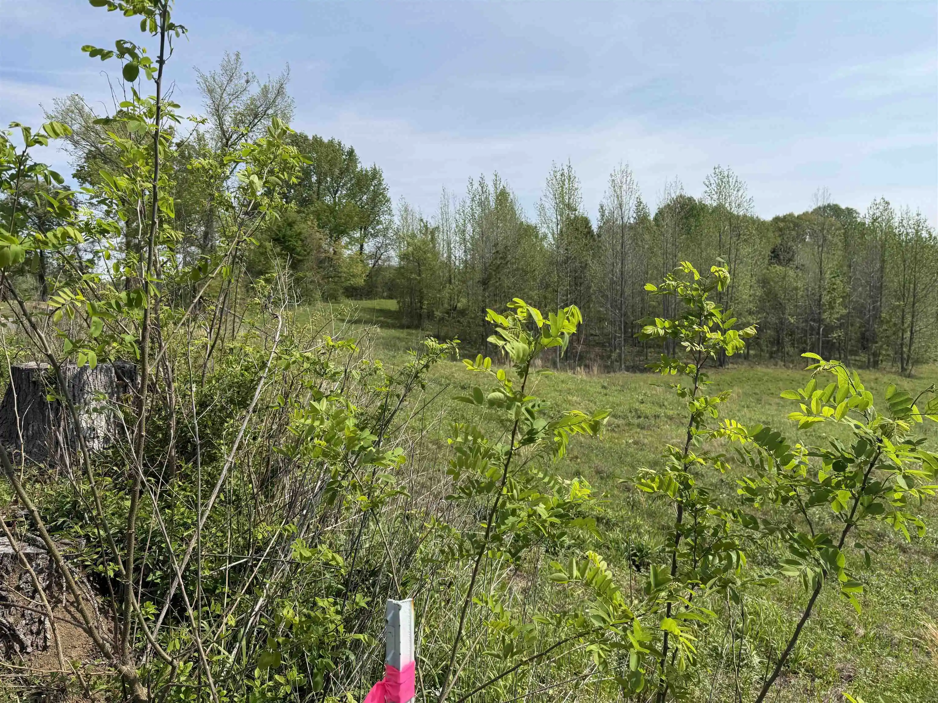 Homes for sale in Unincorporated, TN | 00 Needham Rd, Unincorporated, TN 38023 | MLS# 10219062