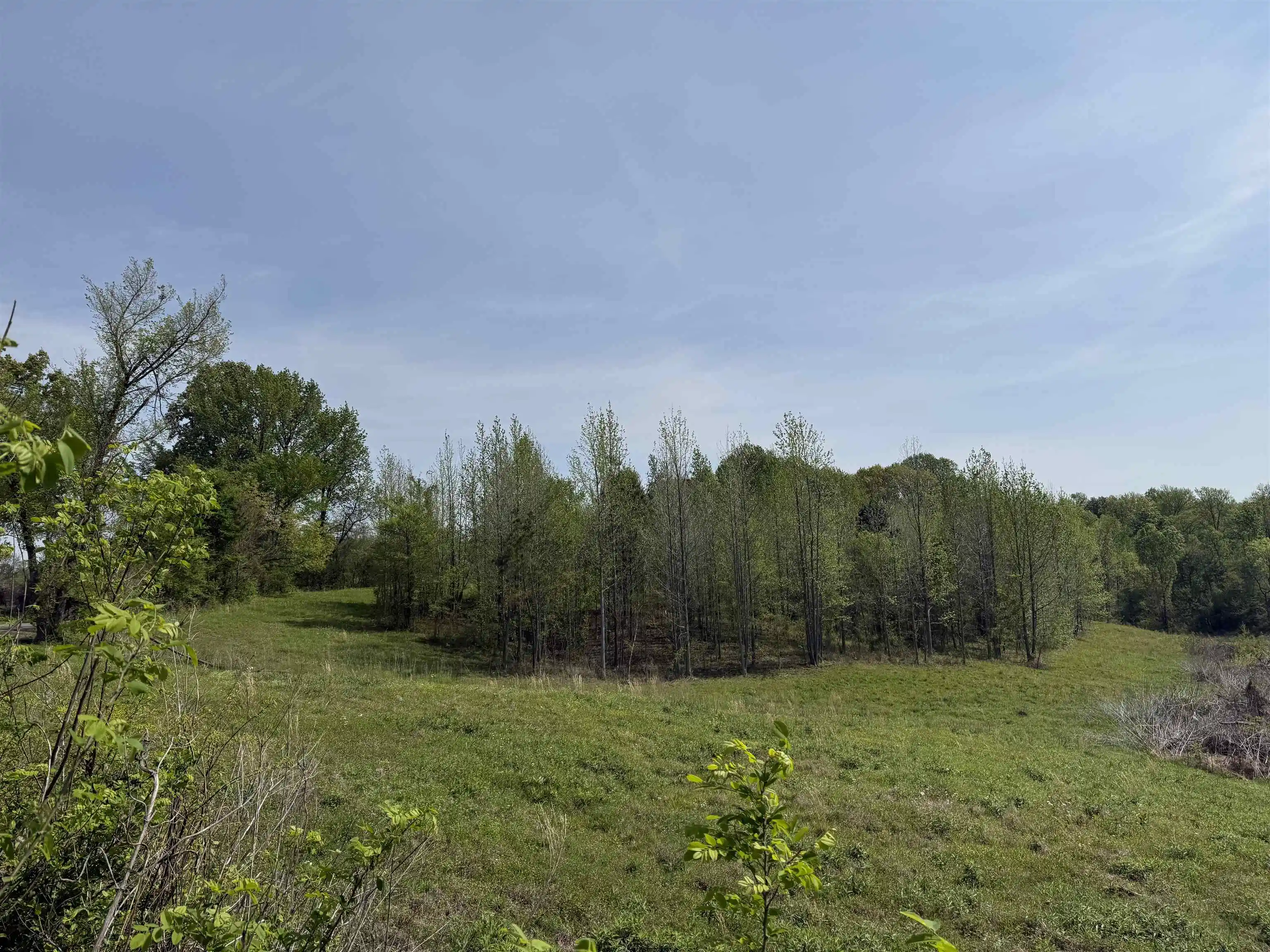 Homes for sale in Unincorporated, TN | 00 Needham Rd, Unincorporated, TN 38023 | MLS# 10219062