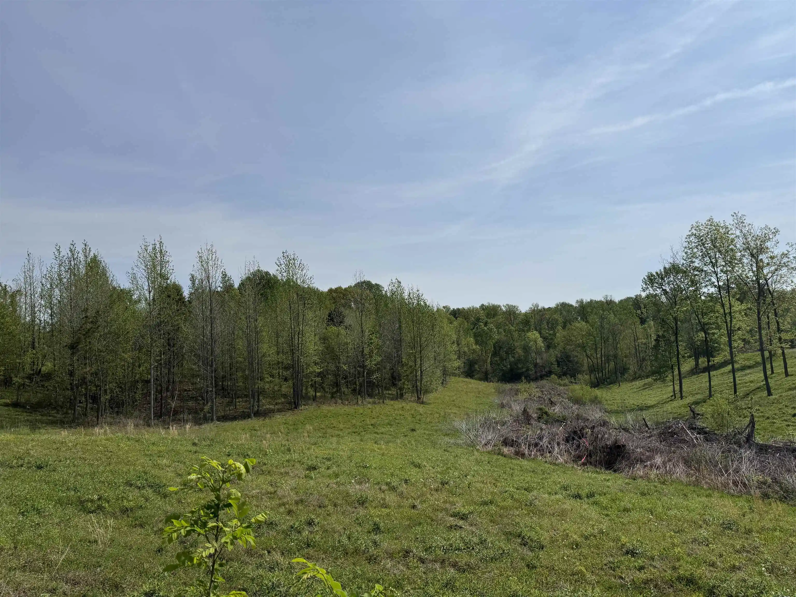 Homes for sale in Unincorporated, TN | 00 Needham Rd, Unincorporated, TN 38023 | MLS# 10219062