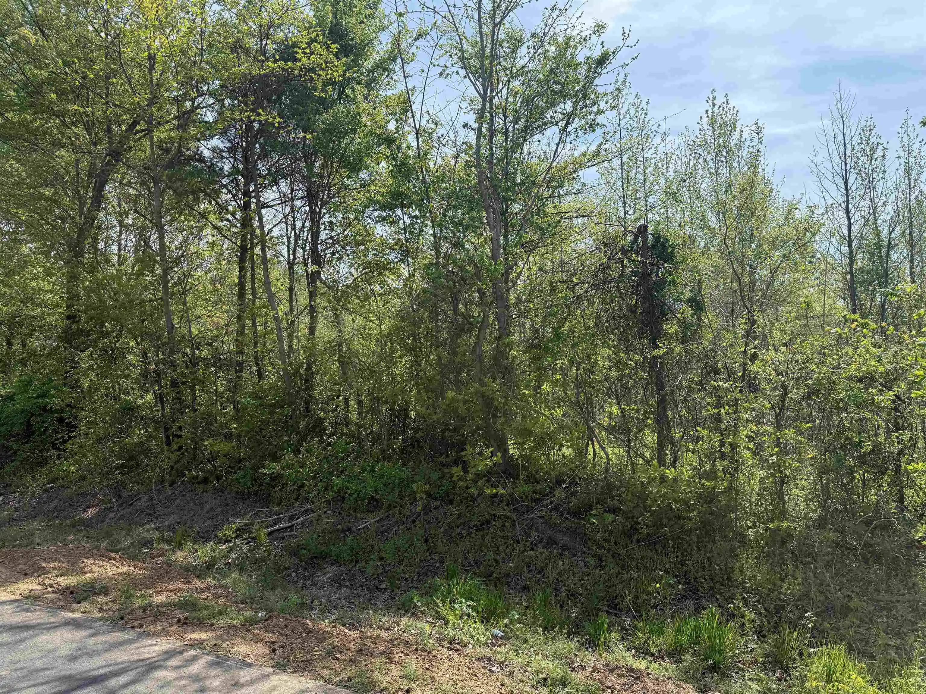 Homes for sale in Unincorporated, TN | 00 Needham Rd, Unincorporated, TN 38023 | MLS# 10219062