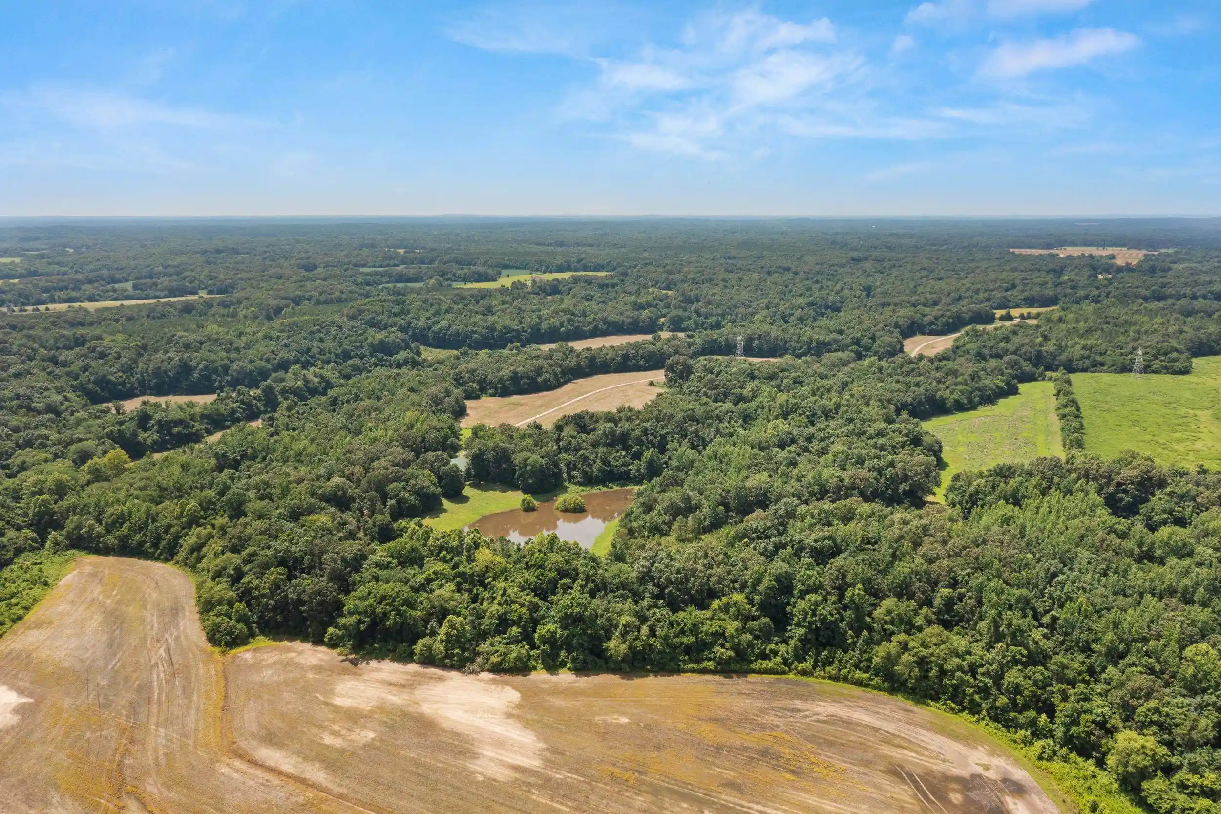 Homes for sale in Hickory Valley, TN | 3890 Ames Rd, Hickory Valley, TN | MLS# 10219490
