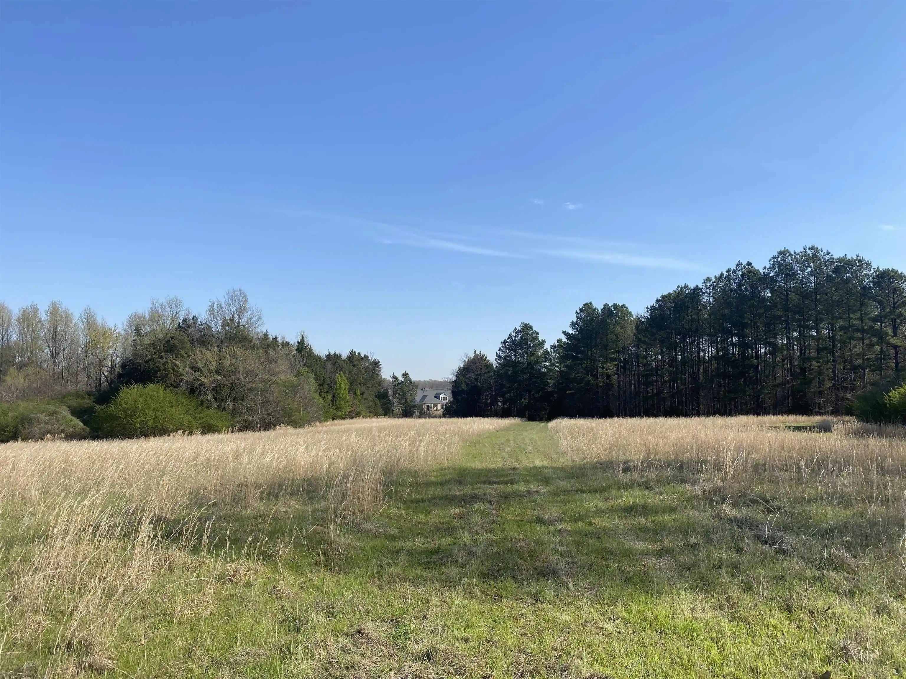 1st image of 2417 Ac 194 Hwy, Oakland, TN 38060 | MLS# 10219501