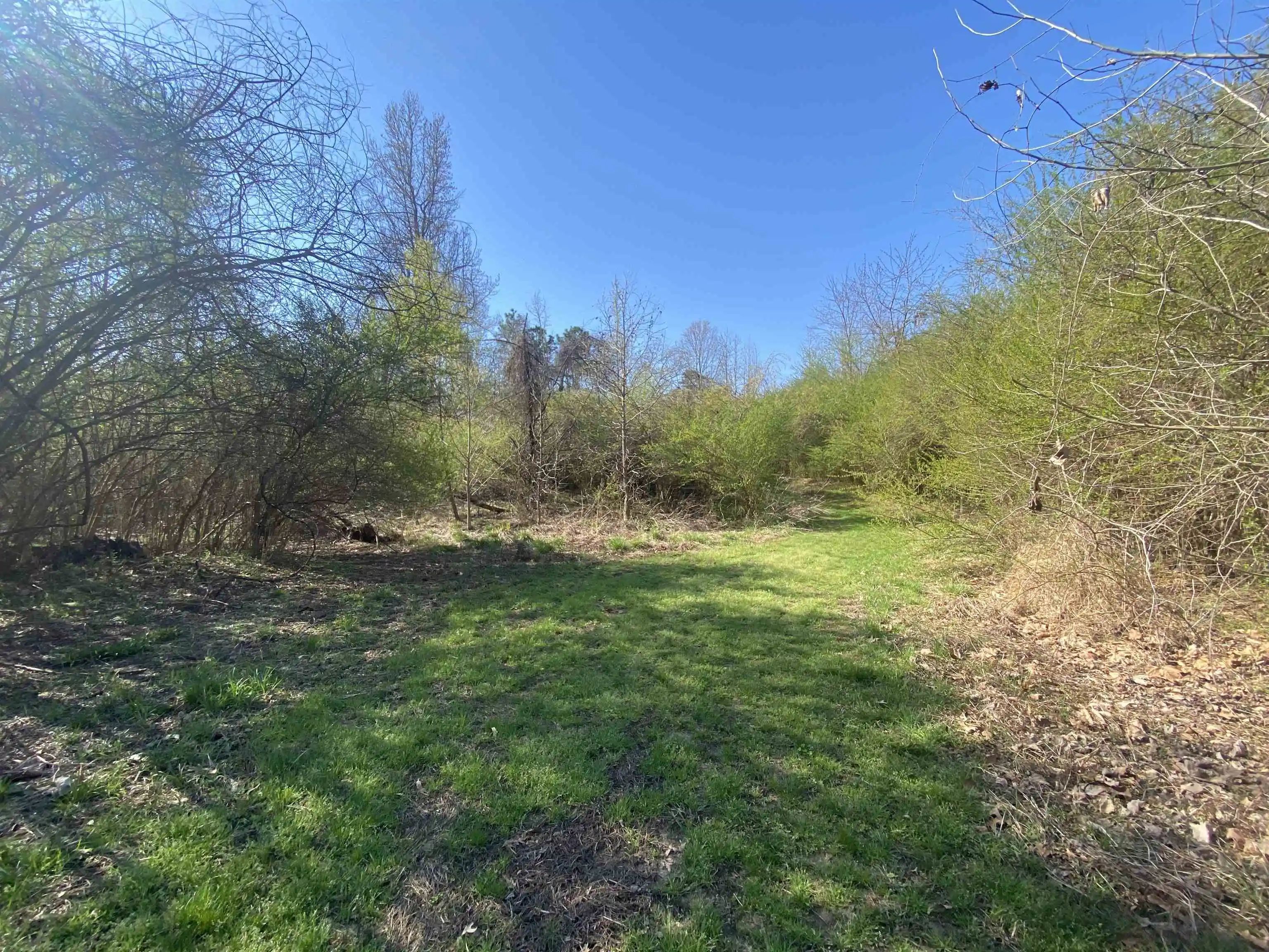 4th image of 2417 Ac 194 Hwy, Oakland, TN 38060 | MLS# 10219501