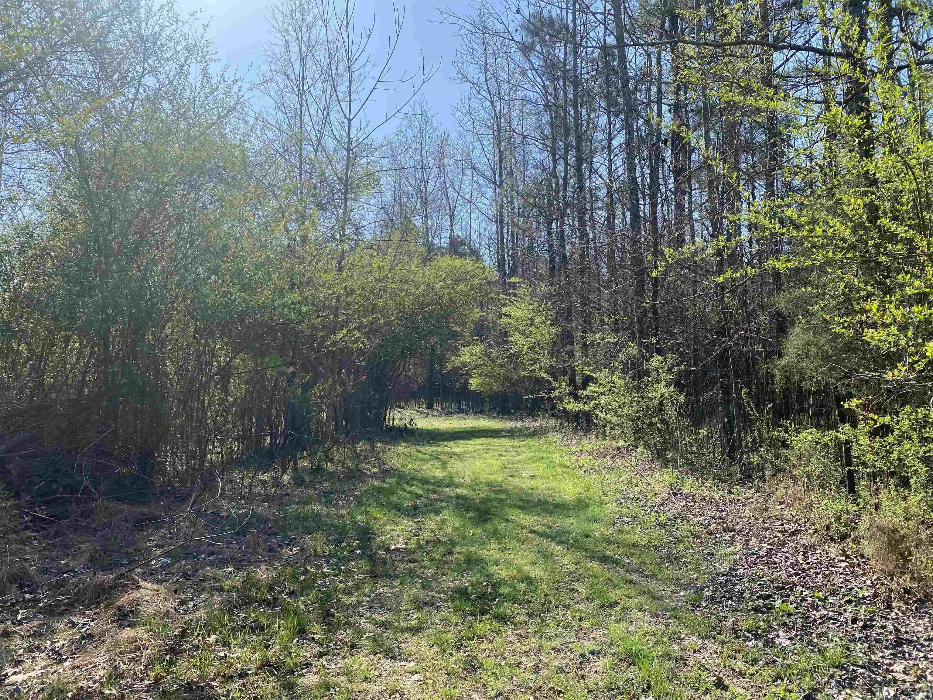 5th image of 2417 Ac 194 Hwy, Oakland, TN 38060 | MLS# 10219501