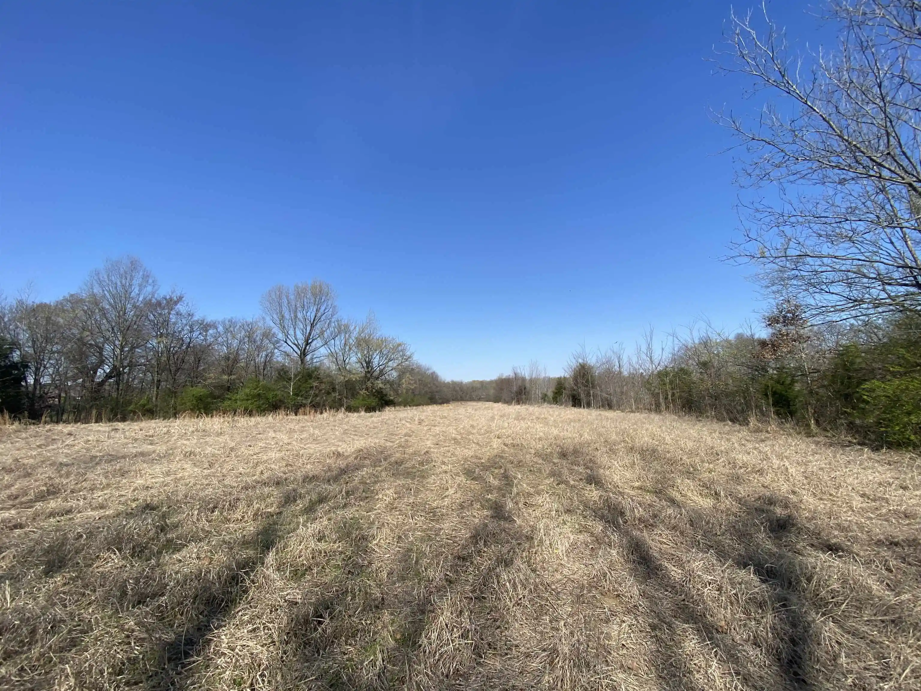 1st image of 1279 Ac Wirt Rd, Oakland, TN 38060 | MLS# 10219502