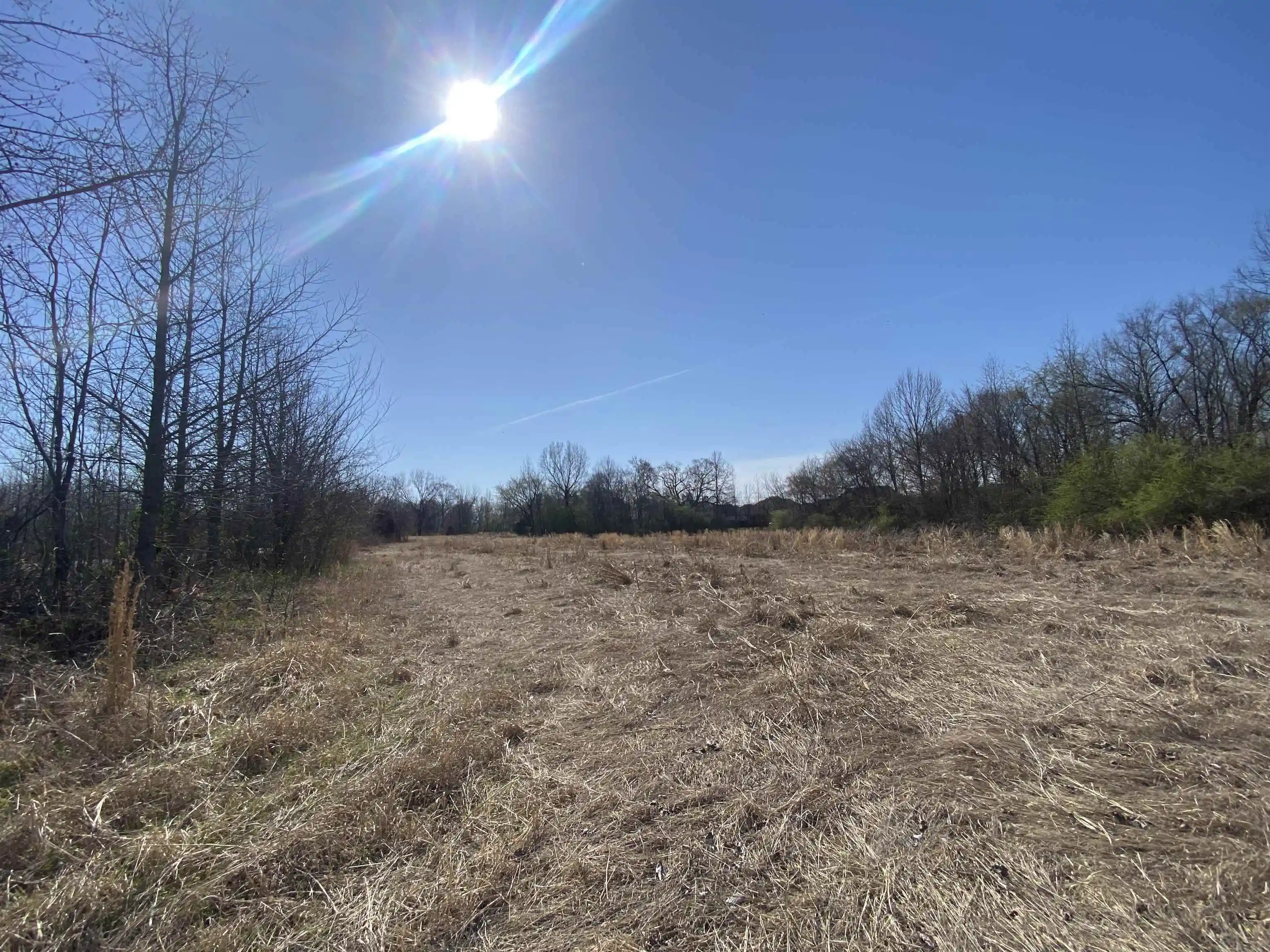 2nd image of 1279 Ac Wirt Rd, Oakland, TN 38060 | MLS# 10219502