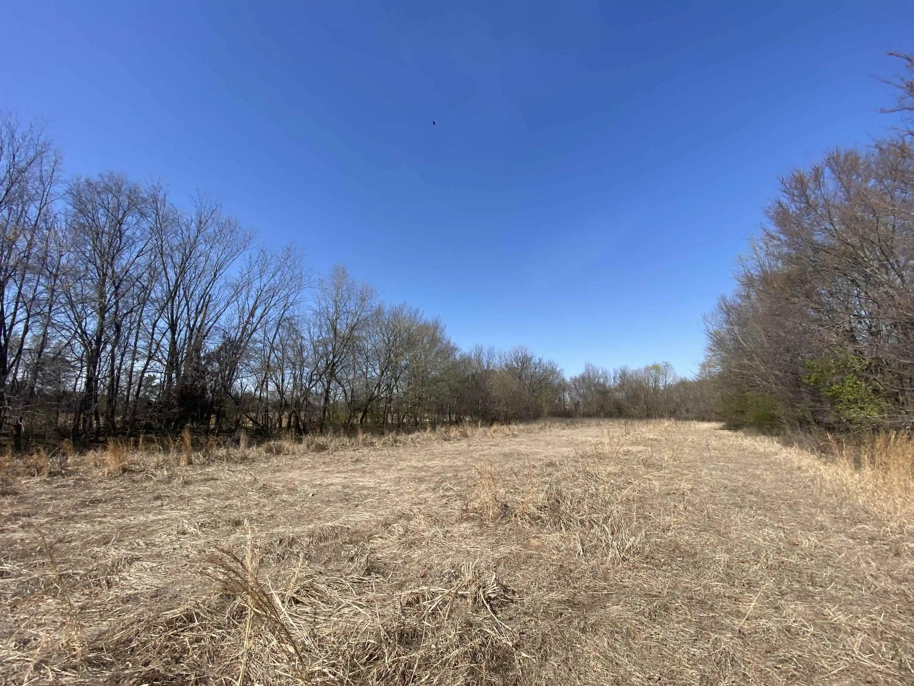 3rd image of 1279 Ac Wirt Rd, Oakland, TN 38060 | MLS# 10219502