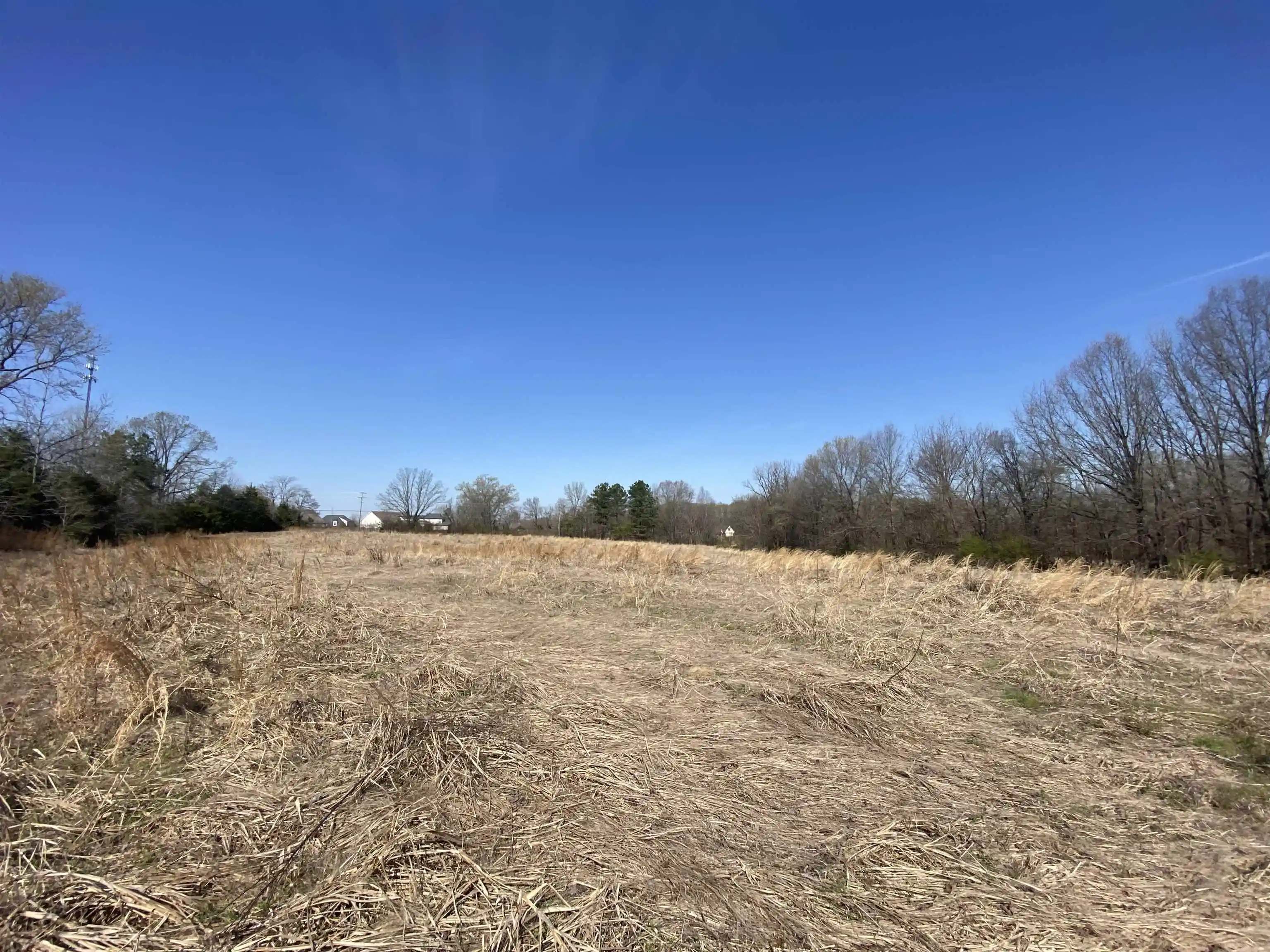 5th image of 1279 Ac Wirt Rd, Oakland, TN 38060 | MLS# 10219502